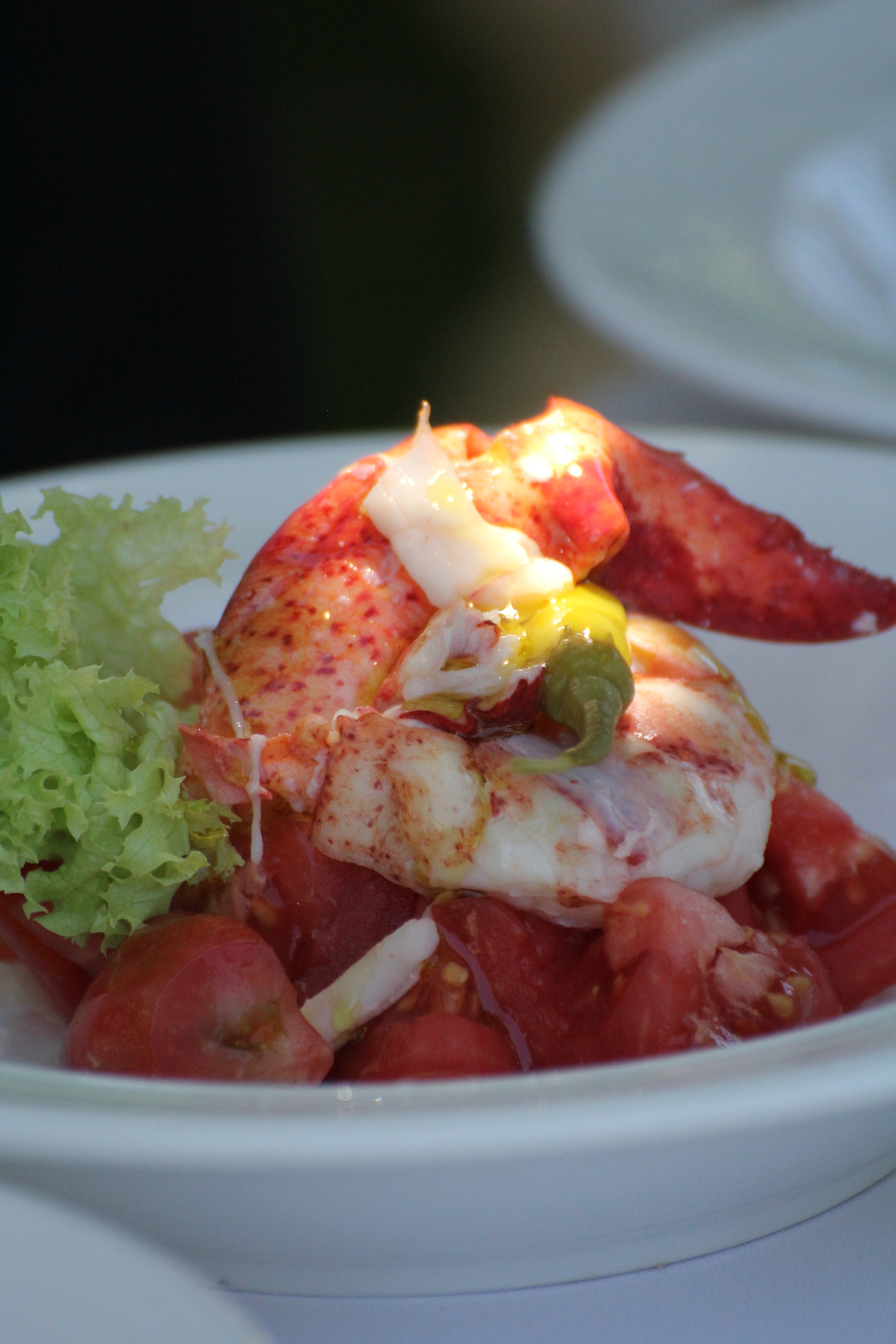 Tamron SP 35mm F1.8 Di VC USD sample photo. Lobster at it's best photography