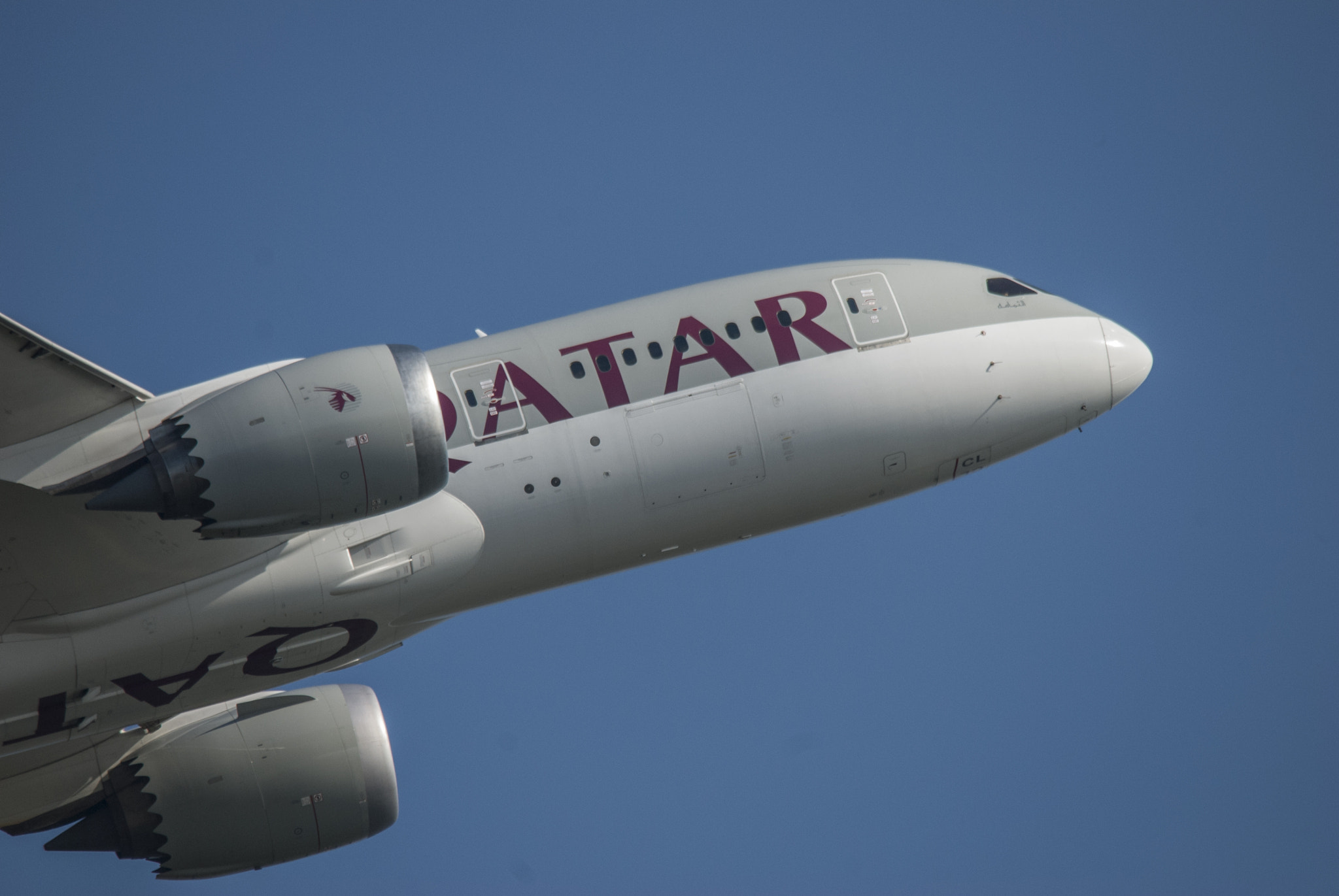 Sigma 150-500mm F5-6.3 DG OS HSM sample photo. Dreamliner photography