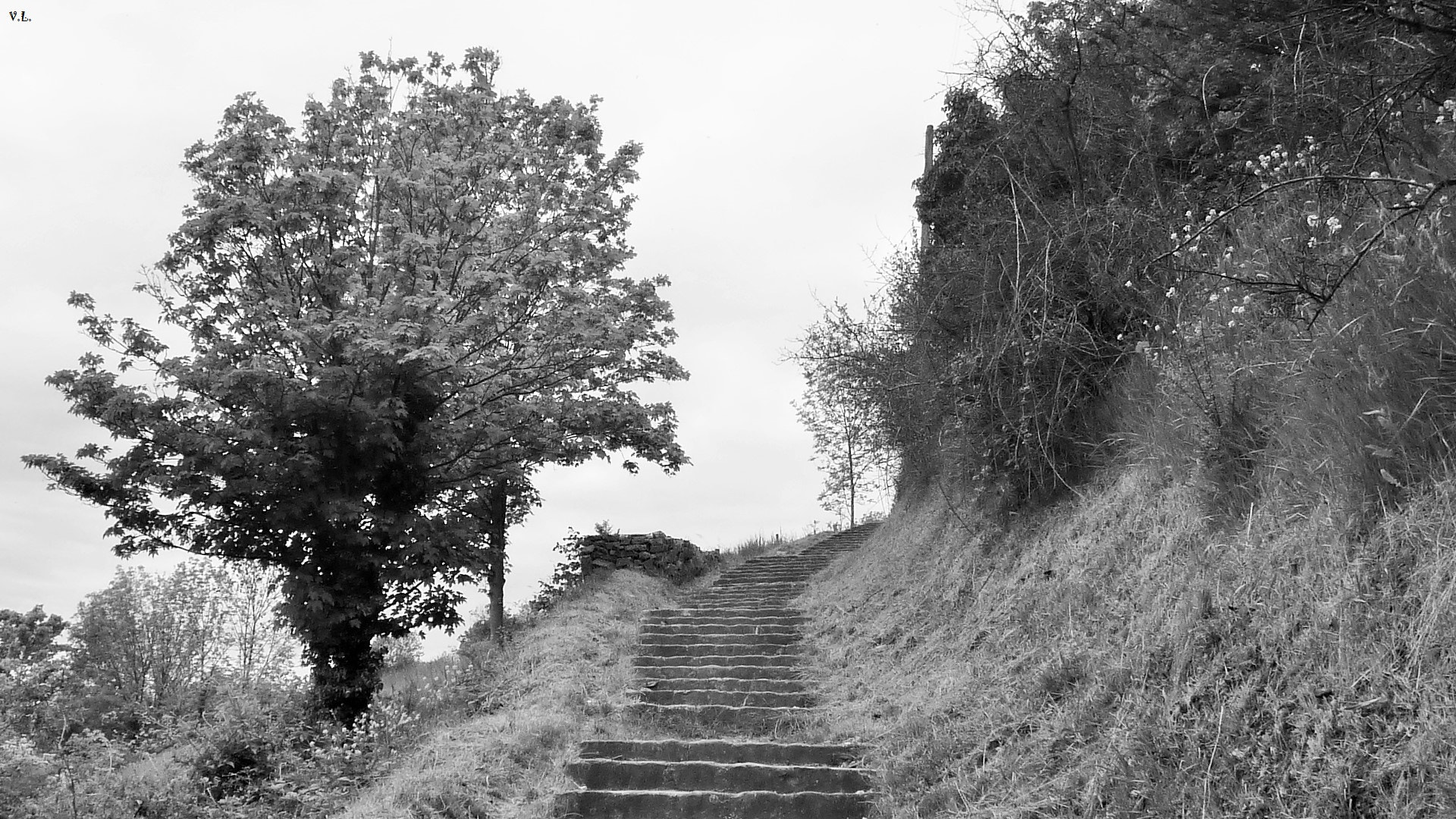 Panasonic DMC-ZS1 sample photo. Evreux, stairs to the heaven photography