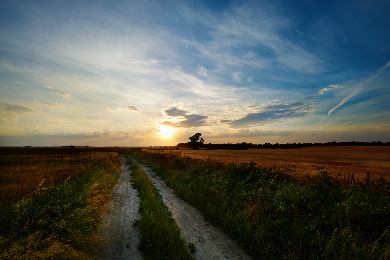 Sony a7R II + Voigtlander SUPER WIDE-HELIAR 15mm F4.5 III sample photo. ... photography