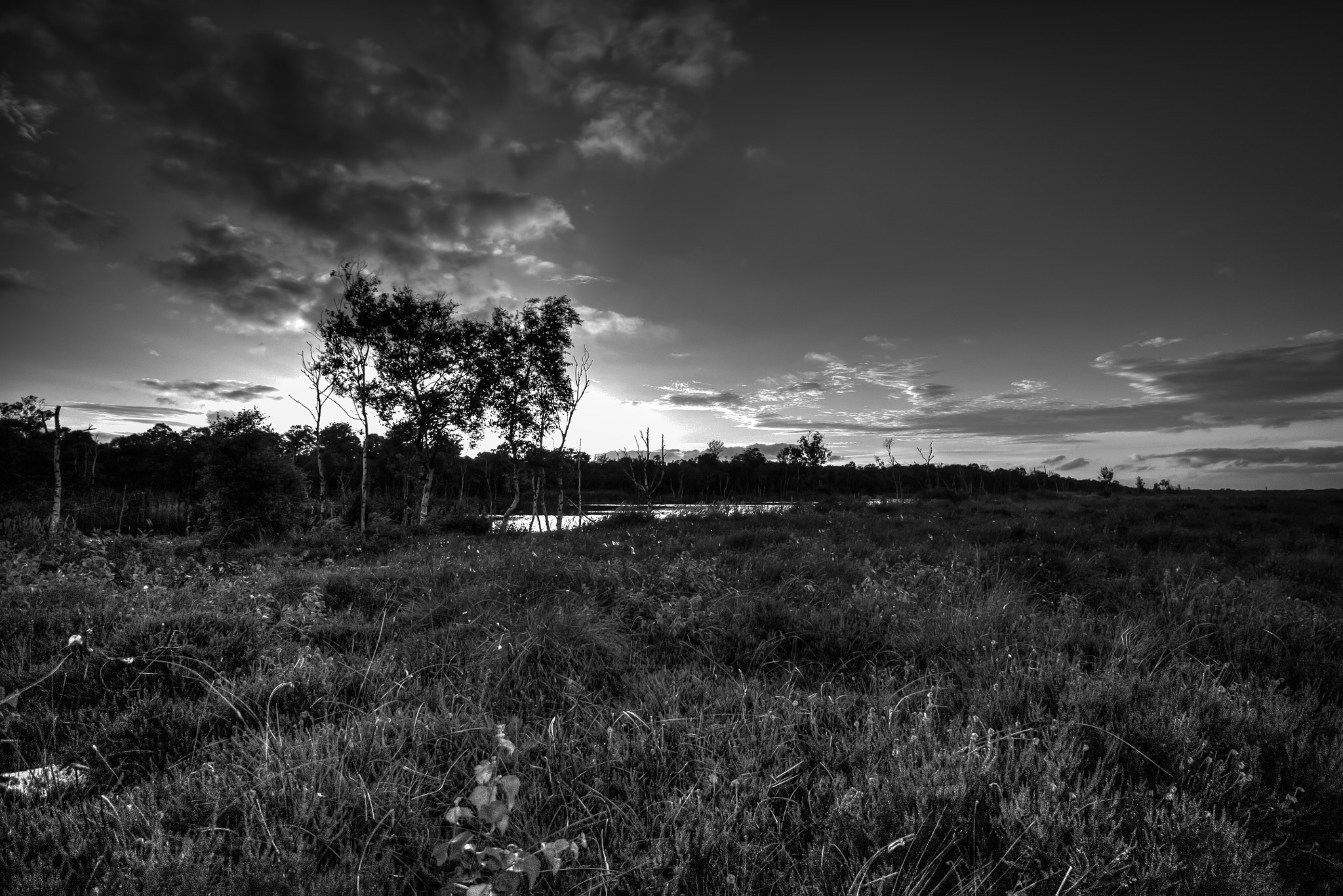 Canon EOS 500D (EOS Rebel T1i / EOS Kiss X3) sample photo. Sky meadow photography