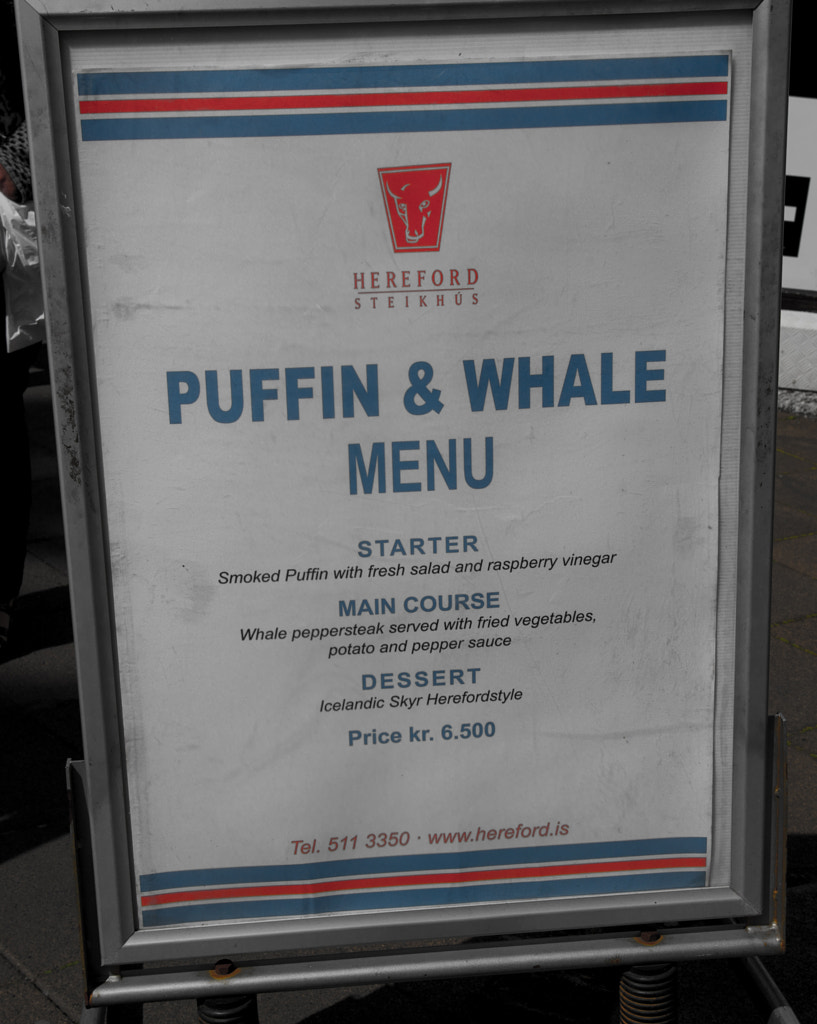 Puffin & Whale Menu by Marc Salm on 500px.com