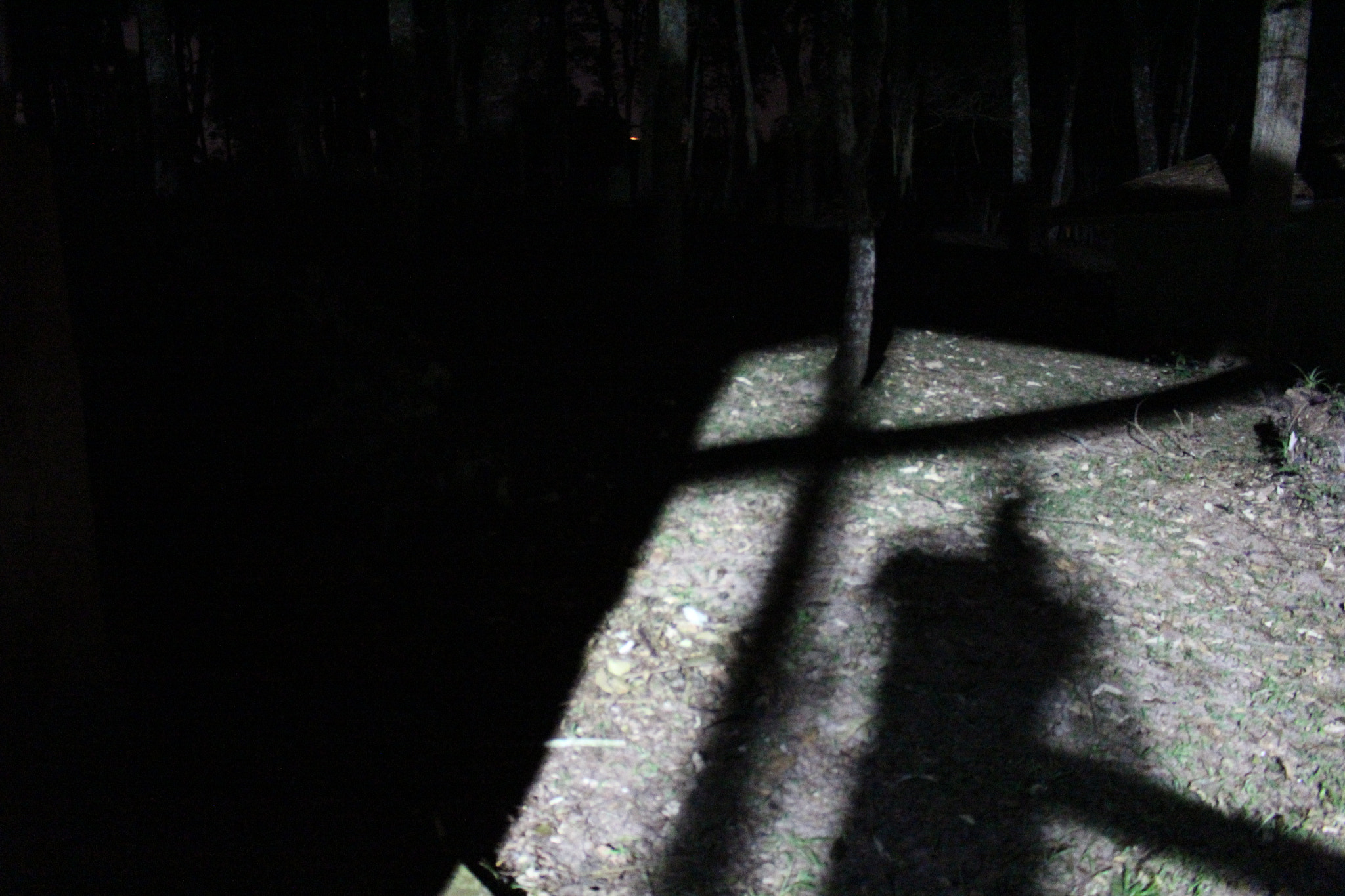 Canon EOS 1200D (EOS Rebel T5 / EOS Kiss X70 / EOS Hi) sample photo. Shadow photography