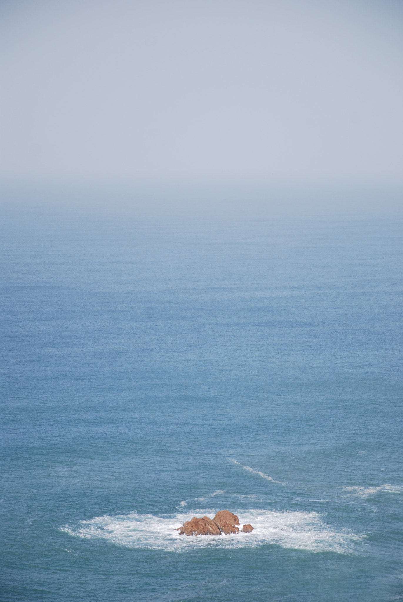 Nikon D40X sample photo