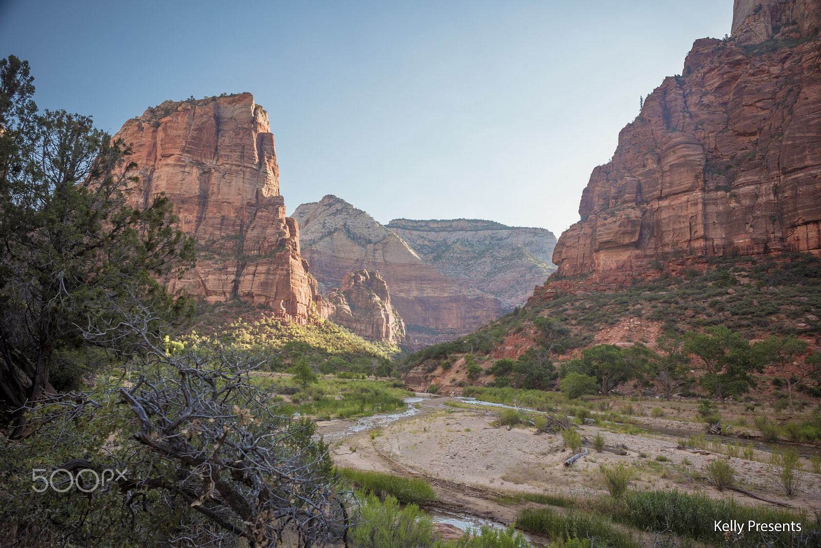 Samyang 12mm F2.8 ED AS NCS Fisheye sample photo. The canyon at angels landing photography