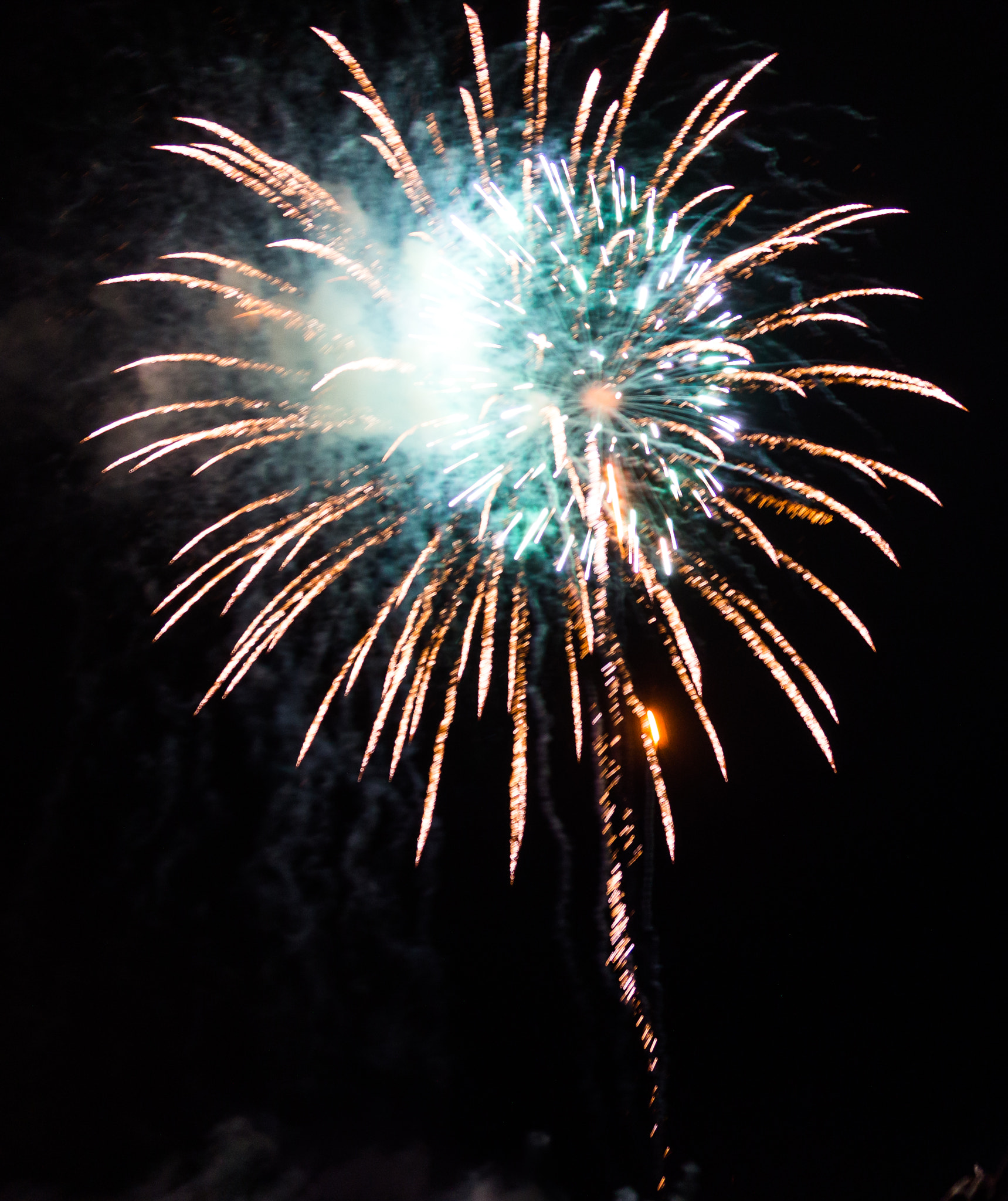 Sony Alpha a3000 + Sony E 16-50mm F3.5-5.6 PZ OSS sample photo. Red white and blue firework photography