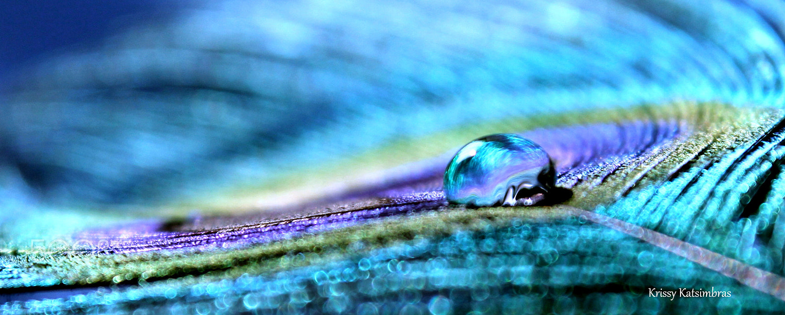 Canon EF-S 18-55mm F3.5-5.6 IS II sample photo. Treasure in a drop photography