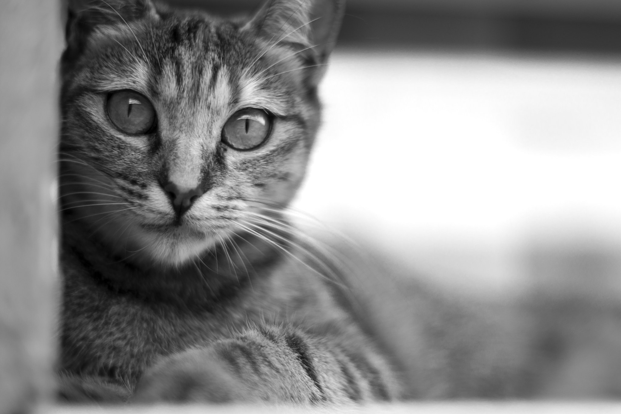 Nikon D7200 + Nikon AF Nikkor 50mm F1.4D sample photo