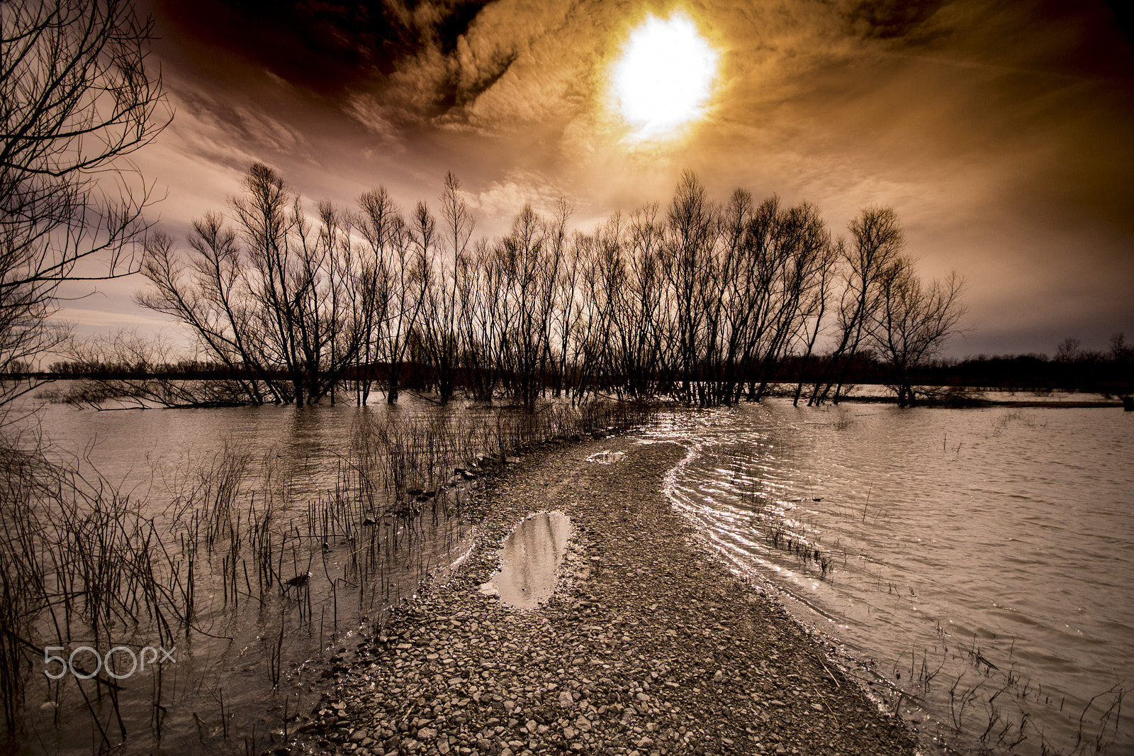 Sigma AF 10-20mm F4-5.6 EX DC sample photo. Flood ii photography