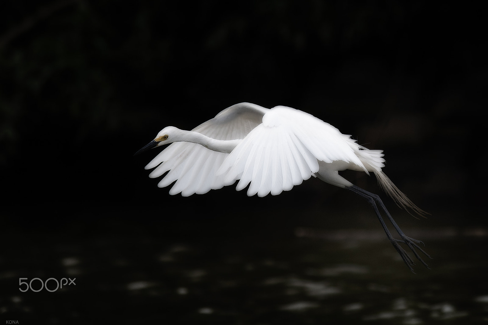 Nikon AF-S Nikkor 400mm F2.8G ED VR II sample photo. Sagi photography