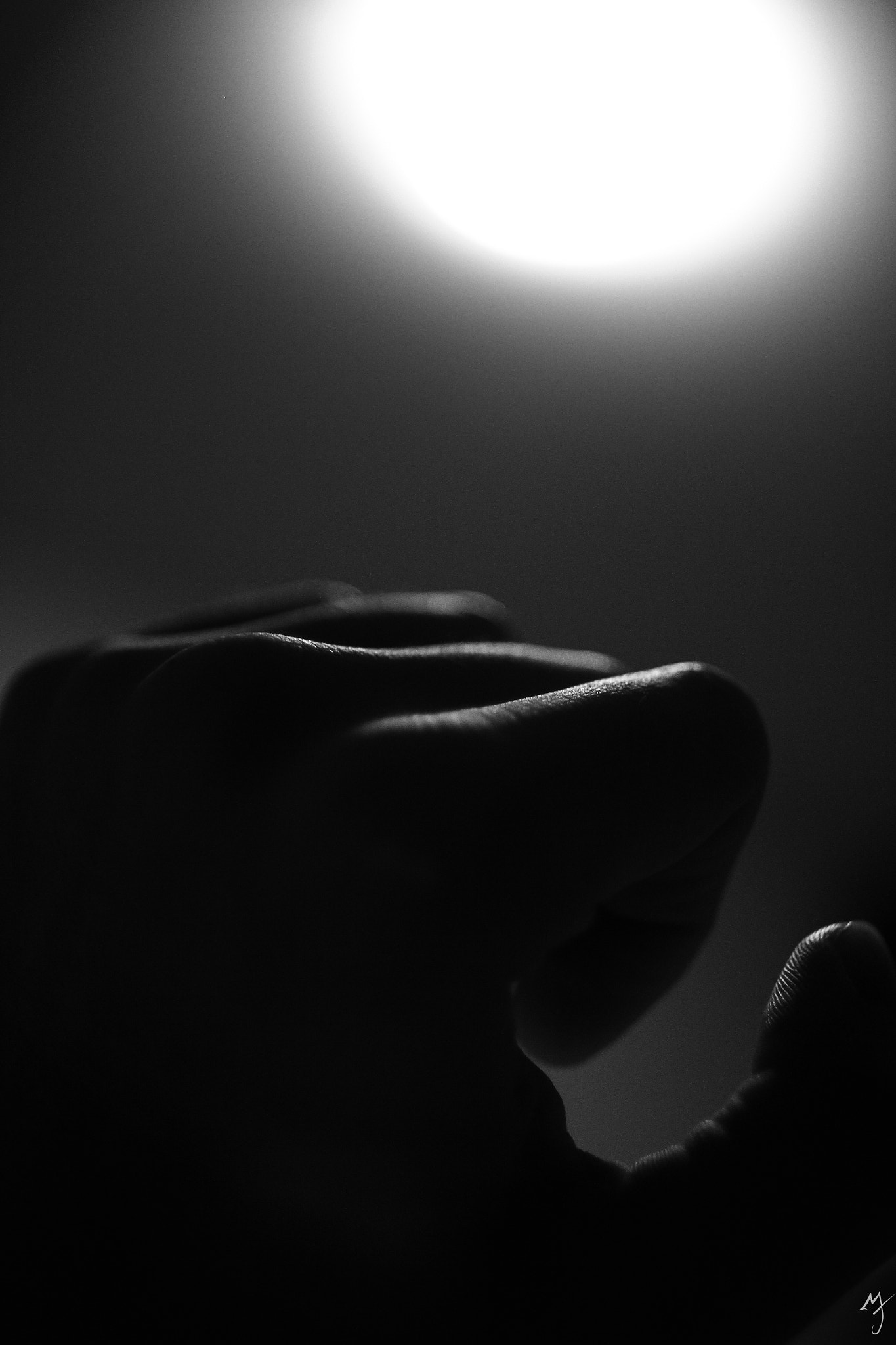 Canon EF 24mm f/1.4L sample photo. A hand photography