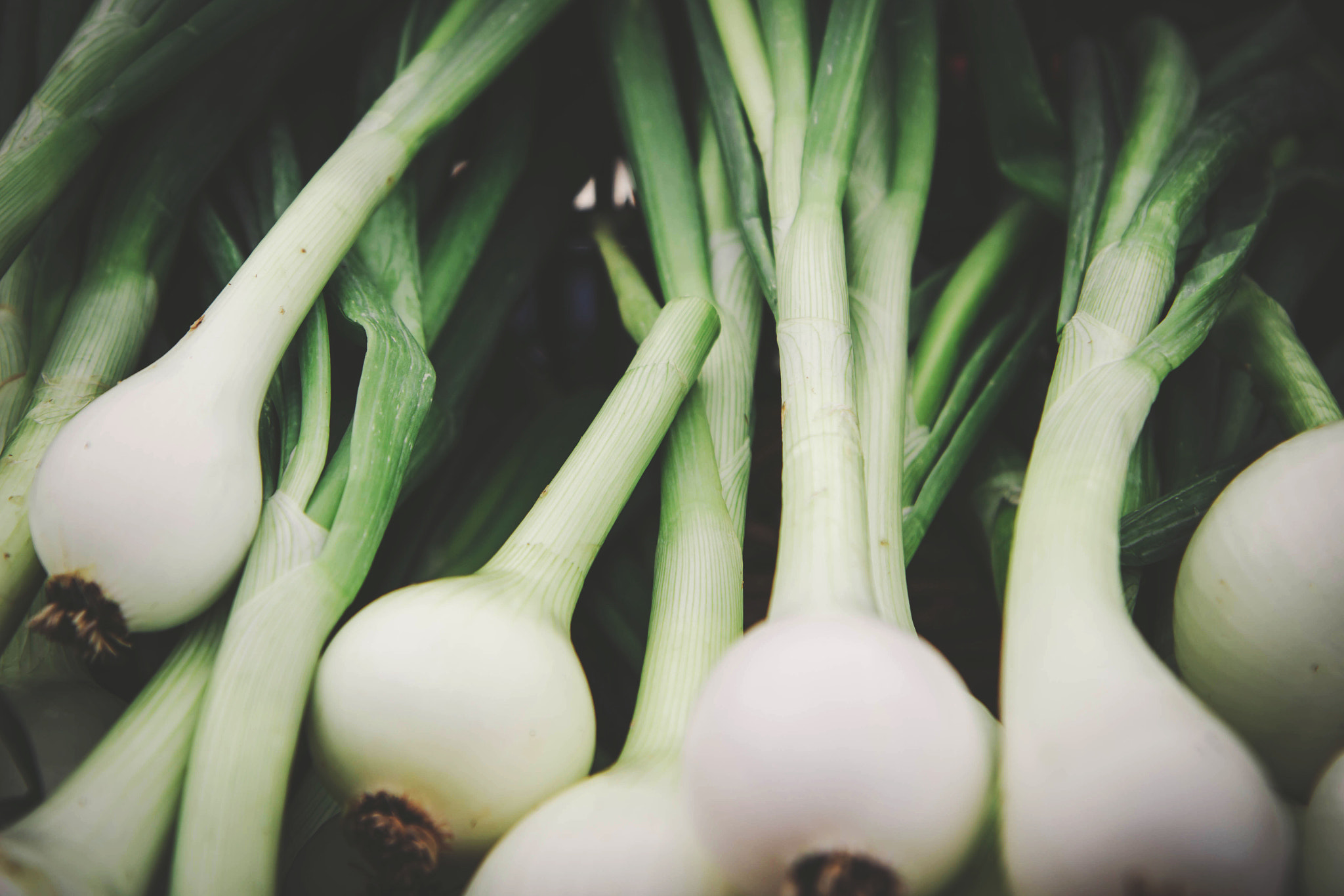 Canon EF-S 17-55mm F2.8 IS USM sample photo. Market veggies photography