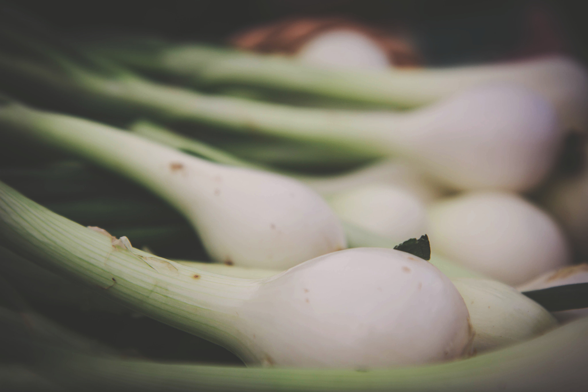 Canon EF-S 17-55mm F2.8 IS USM sample photo. Market veggies photography