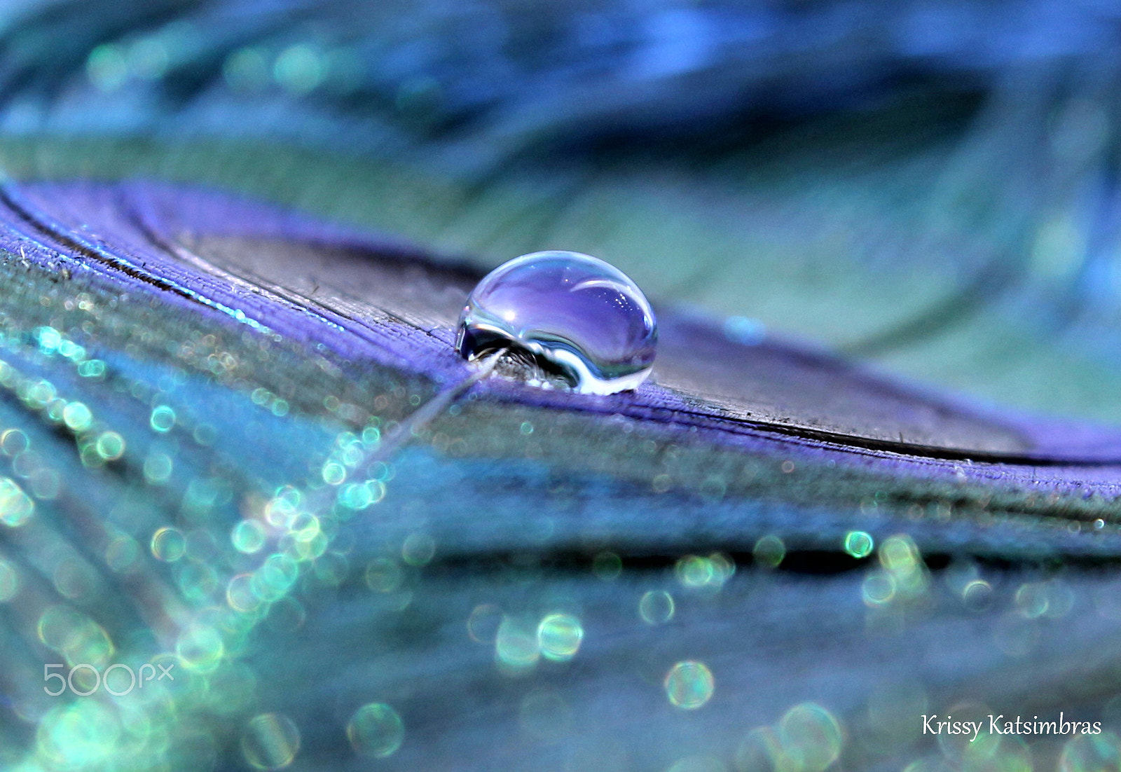 Canon EF-S 18-55mm F3.5-5.6 IS II sample photo. Slow dance photography