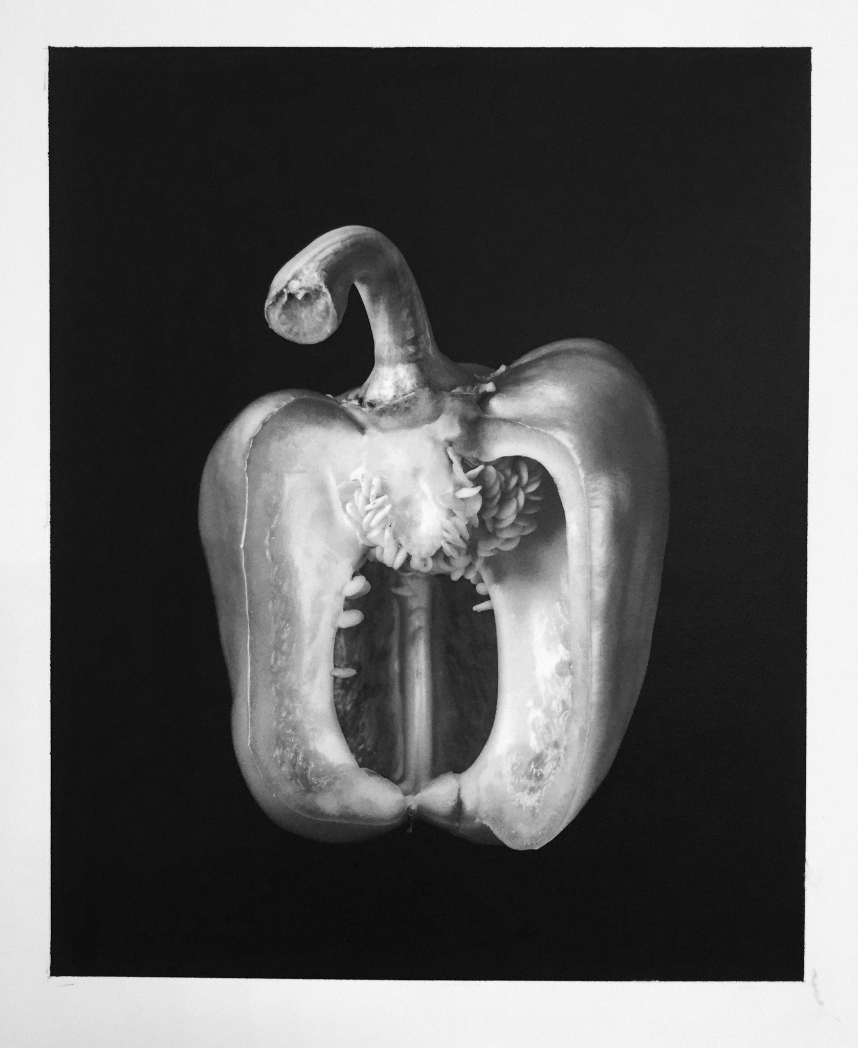 Jag.gr 645 PRO Mk III for Apple iPhone 6 sample photo. 《green pepper》by ilford delta100 45film ，hahnemuehle paper，platinotype。 photography