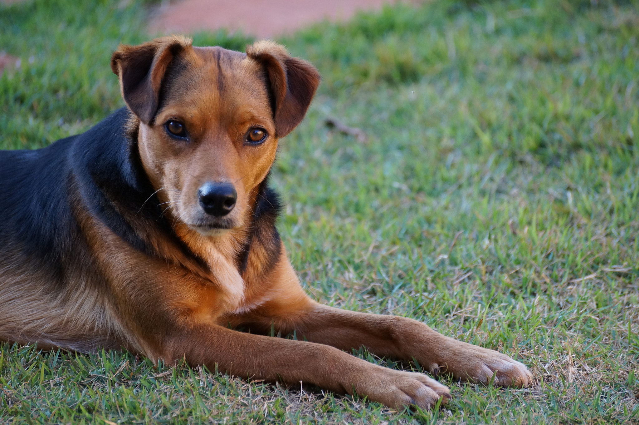 Sony SLT-A37 sample photo. What a model. photography