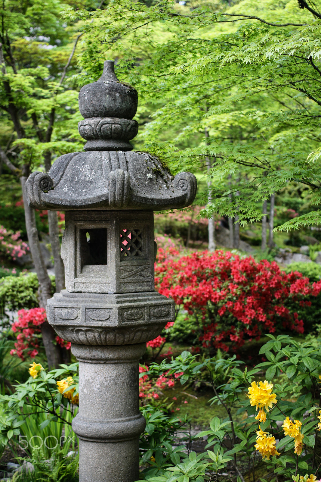 Canon EOS 50D + Canon EF 40mm F2.8 STM sample photo. 24.4.16.jpg photography