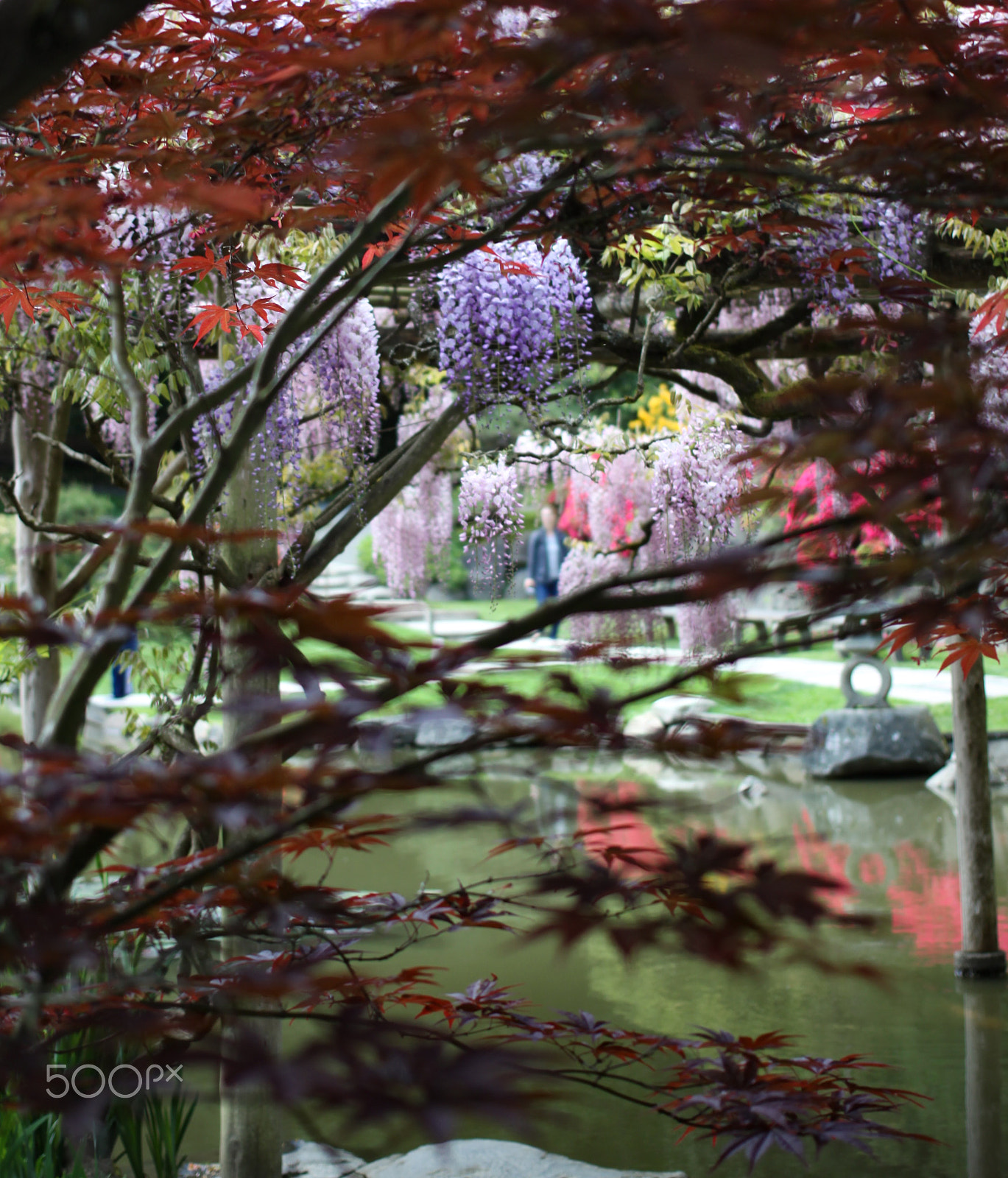 Canon EOS 50D + Canon EF 40mm F2.8 STM sample photo. I have so softly wakened photography