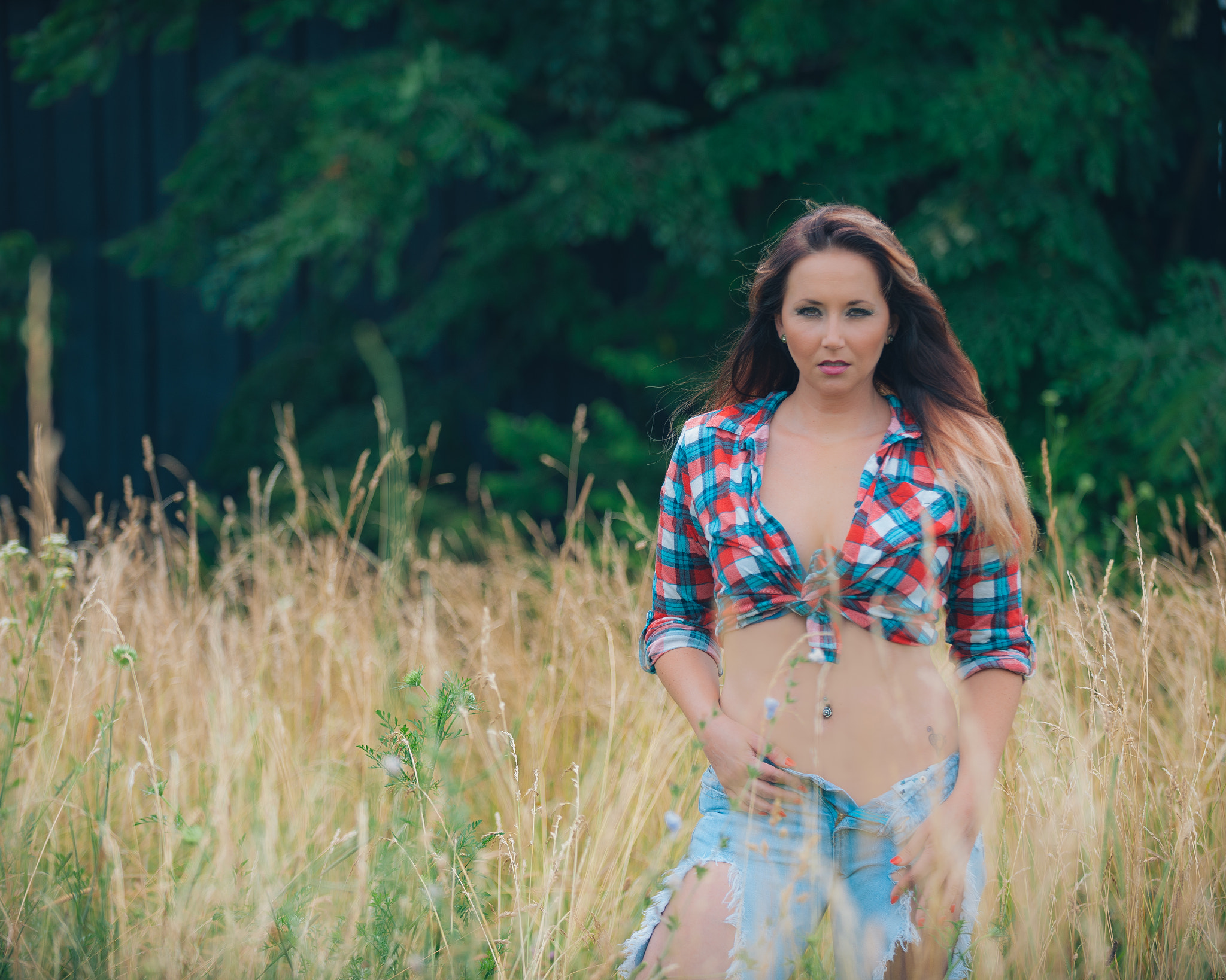 Nikon D3X sample photo. Ashe in the tall grass photography