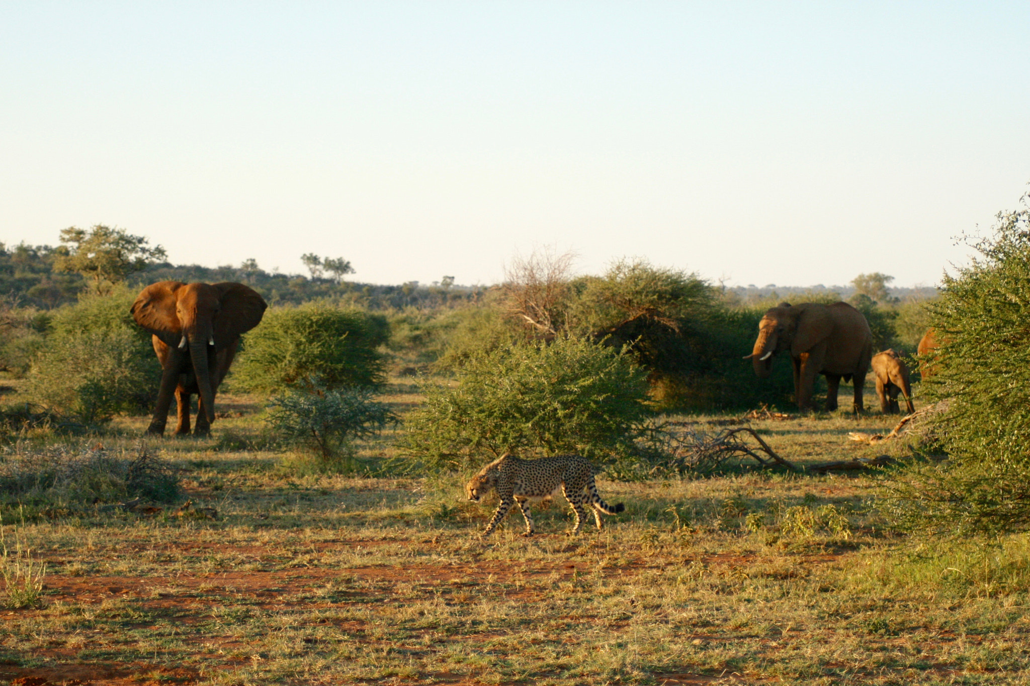 Canon EOS 400D (EOS Digital Rebel XTi / EOS Kiss Digital X) sample photo. South africa landscape photography
