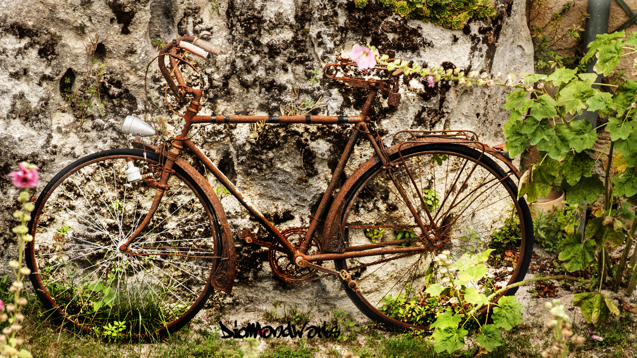 Canon EOS 50D sample photo. La bicicleta photography