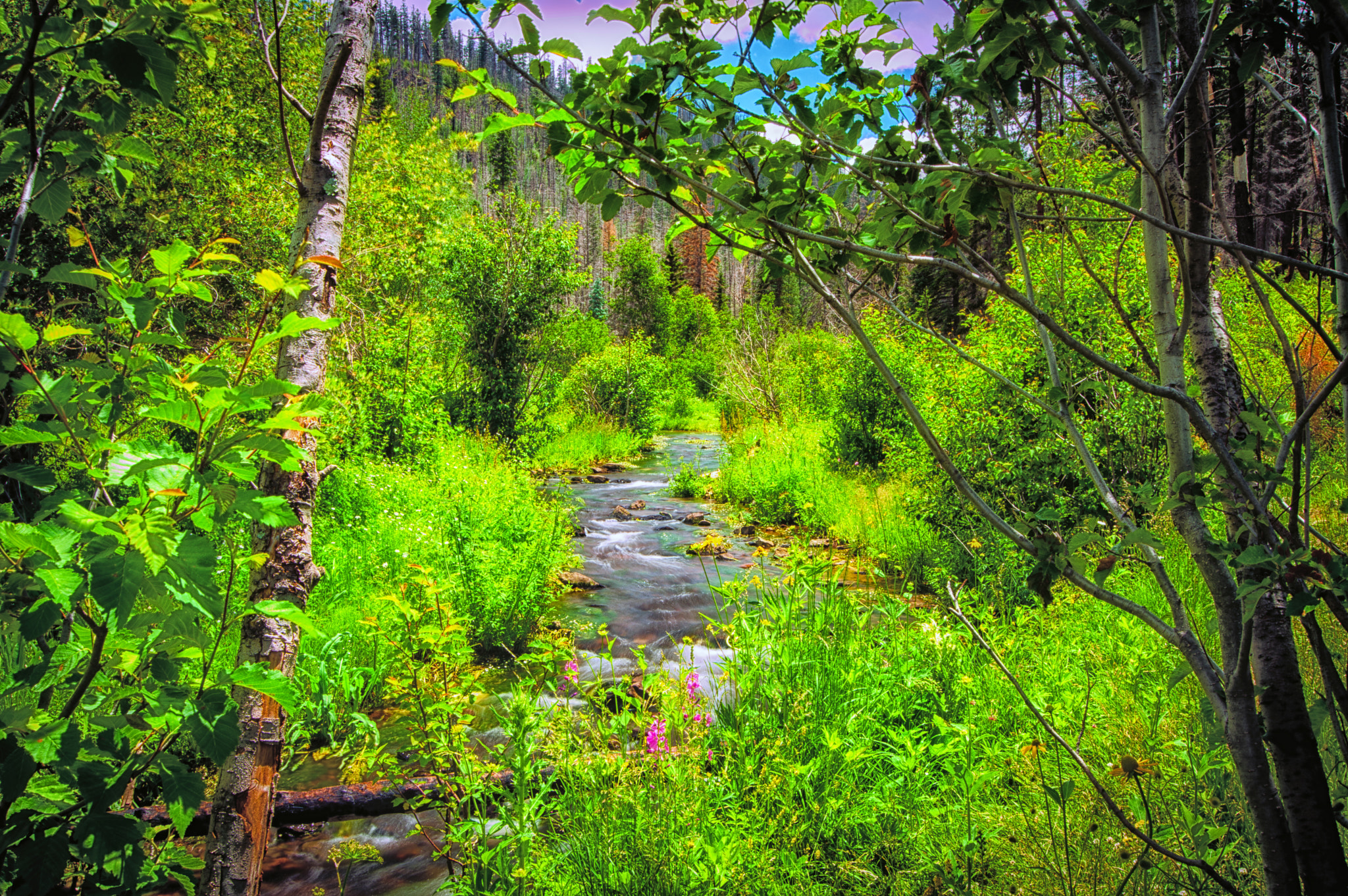 Pentax K-3 II + Pentax smc DA 12-24mm F4.0 ED AL (IF) sample photo. Little colorado beauty photography