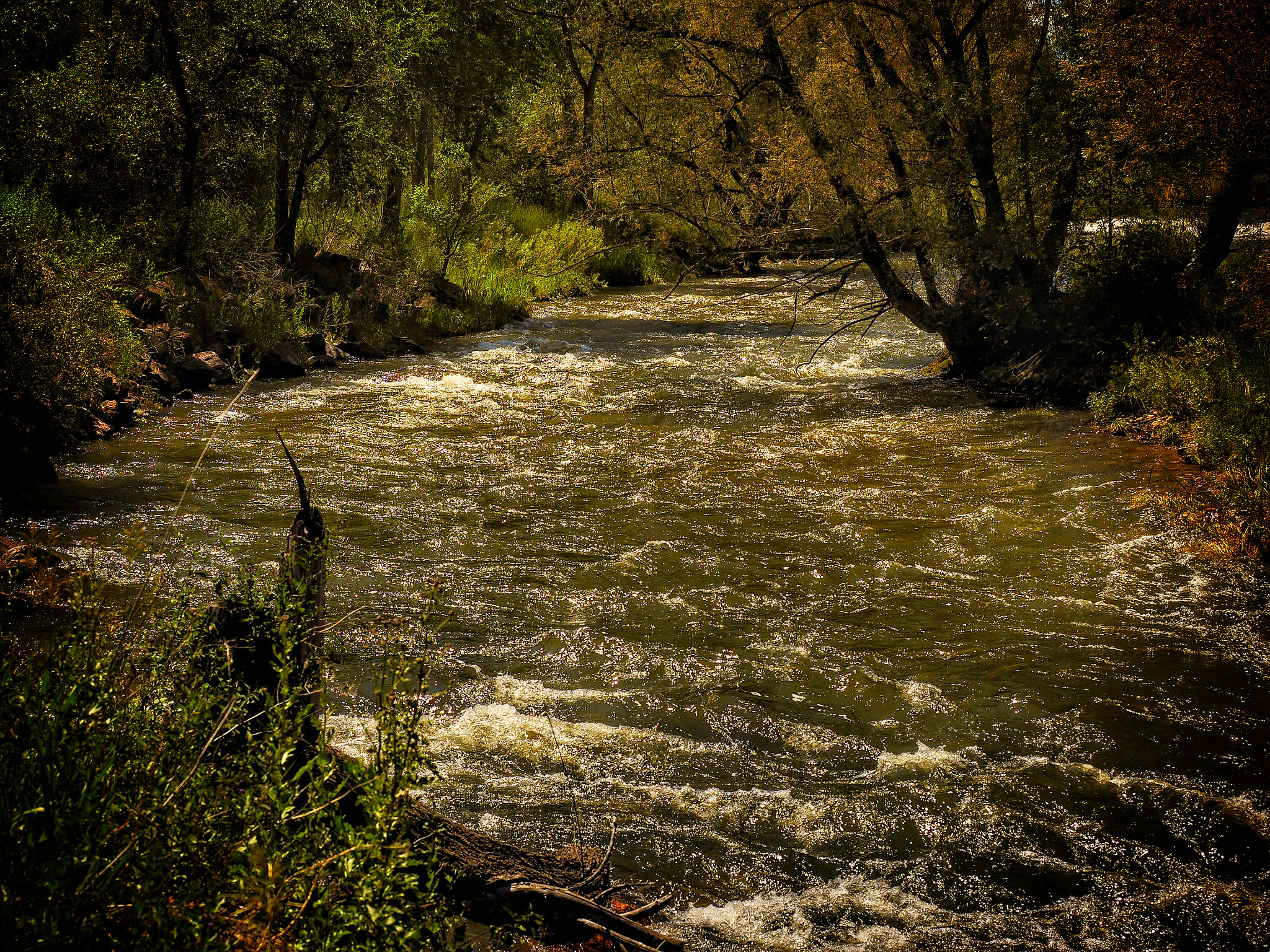 Olympus M.Zuiko Digital ED 12-40mm F2.8 Pro sample photo. Small white water from snow runoff. 6 /26 /16  photography