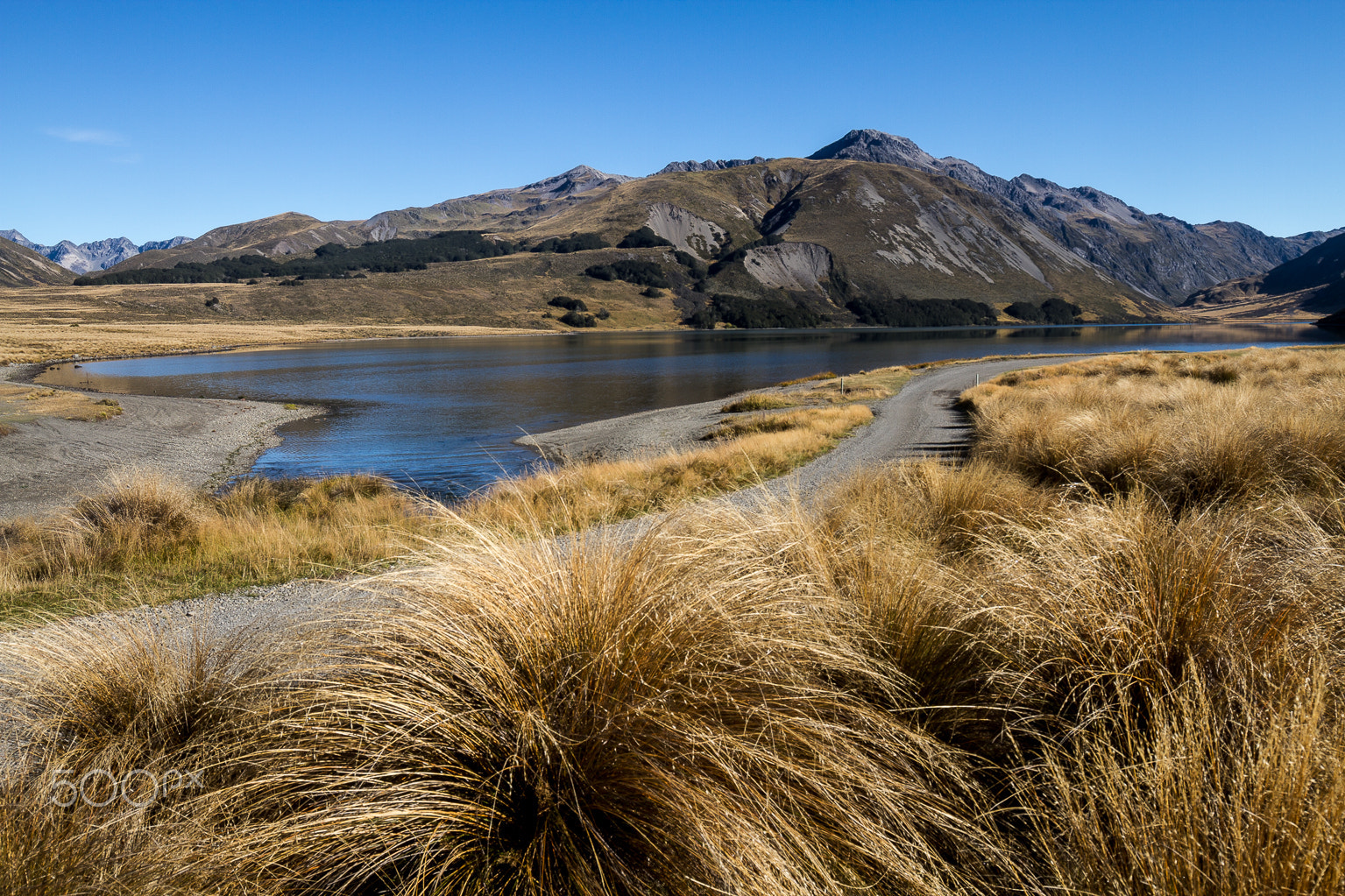 Canon EOS 7D + Canon EF 16-35mm F4L IS USM sample photo. Lake tennyson - new zealand photography