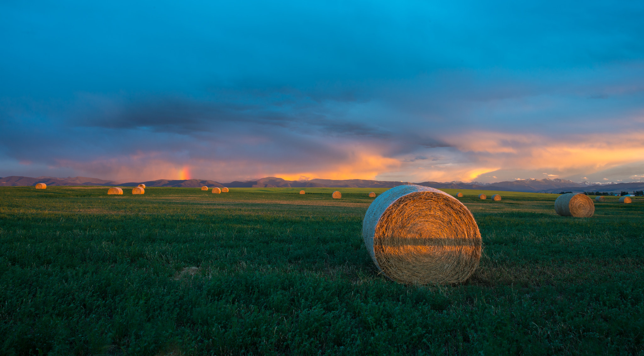 14-24mm F2.8-2.8 G sample photo. One shot photography