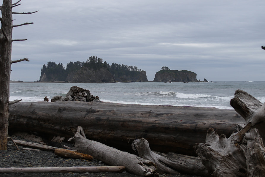 EF28-70mm f/2.8L USM sample photo. The stacks at rialto beach, wa photography