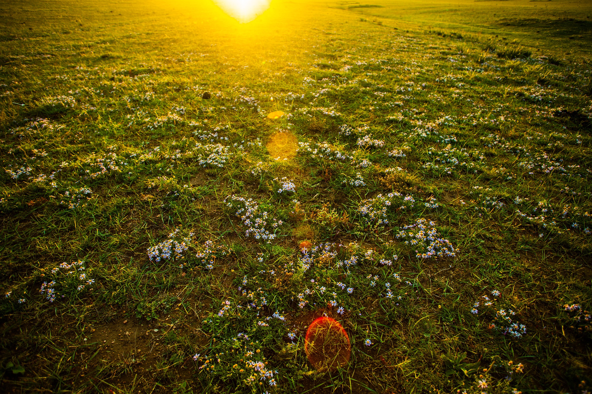 Canon EF 20mm F2.8 USM sample photo