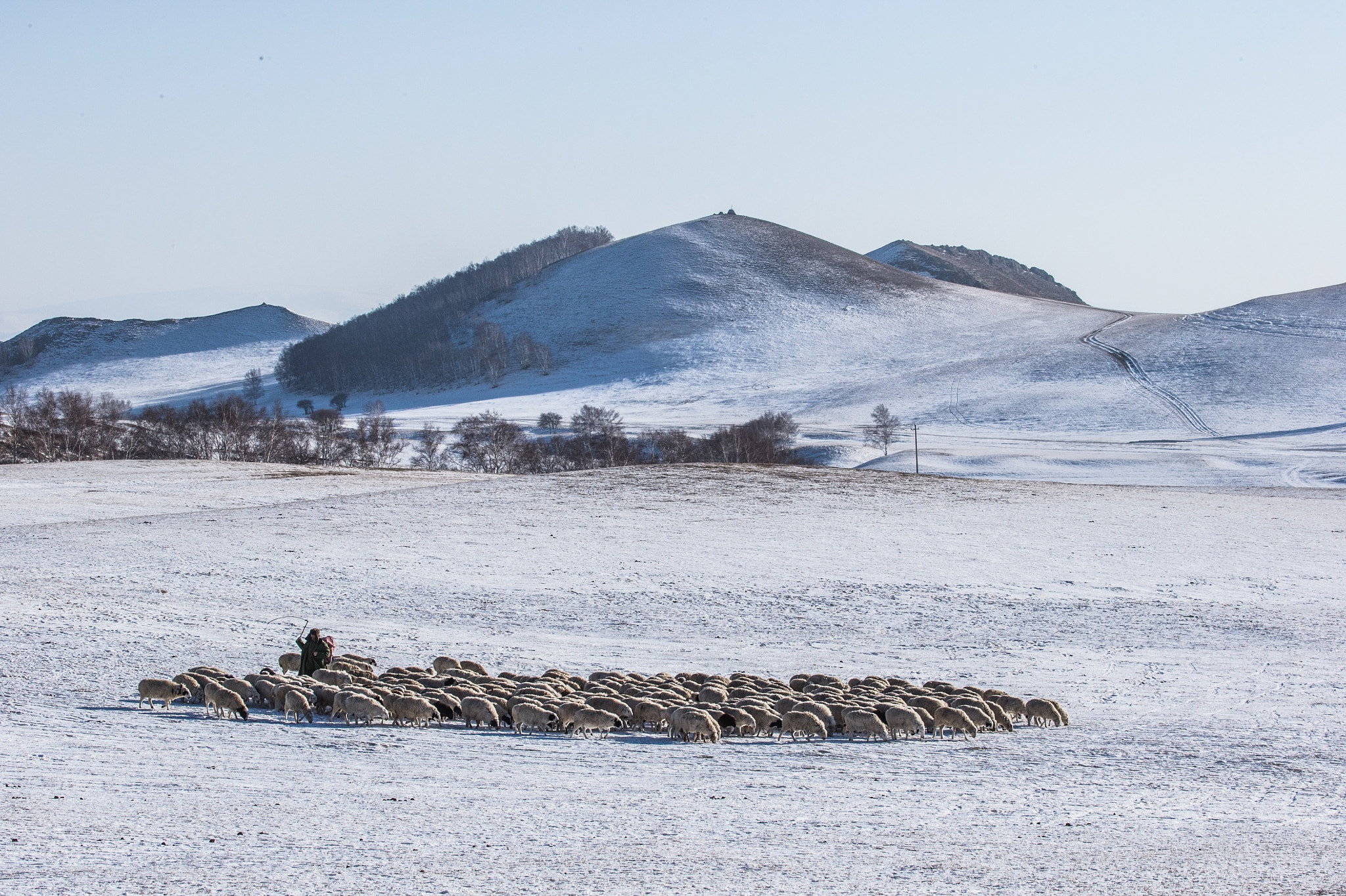 Canon EF 100-400mm F4.5-5.6L IS USM sample photo