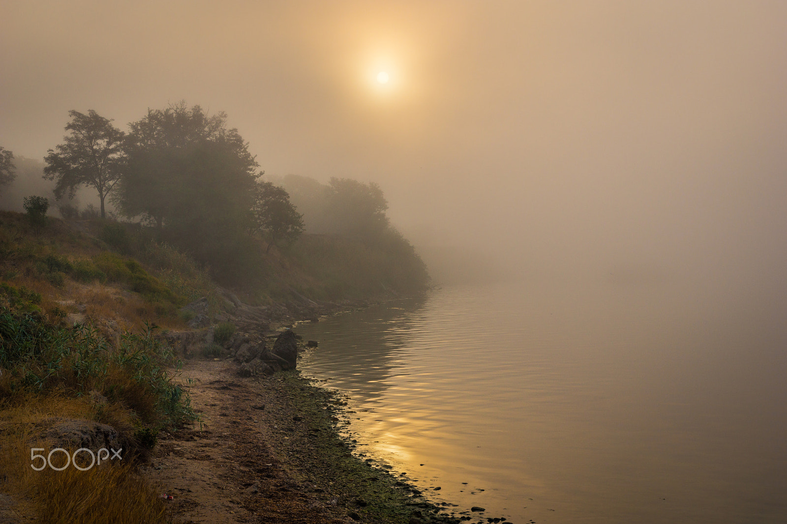 Sony SLT-A77 sample photo. Fog photography