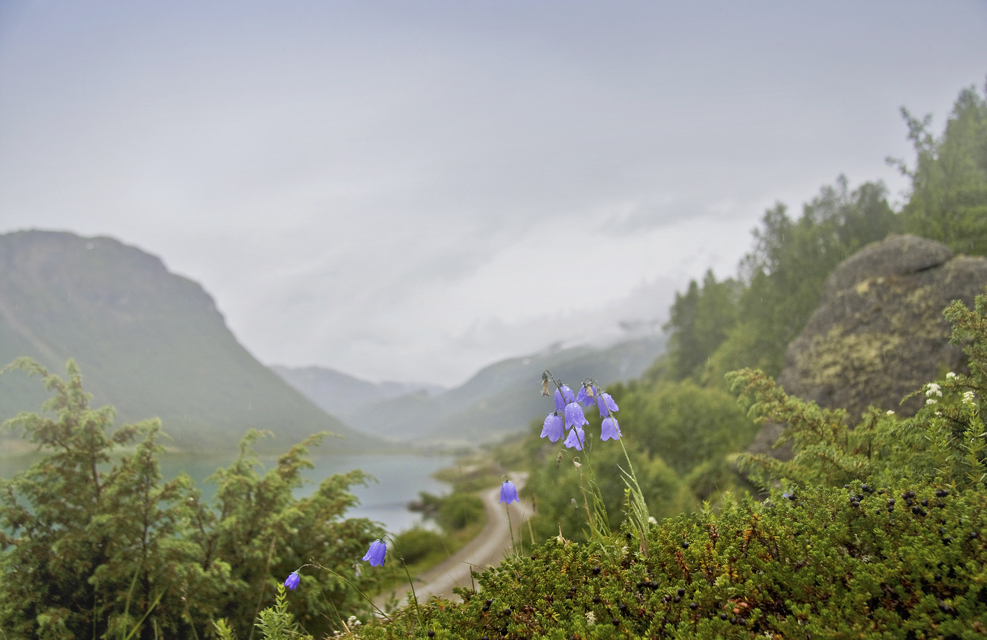 Canon EF-S 17-85mm F4-5.6 IS USM sample photo. Rainy blues photography
