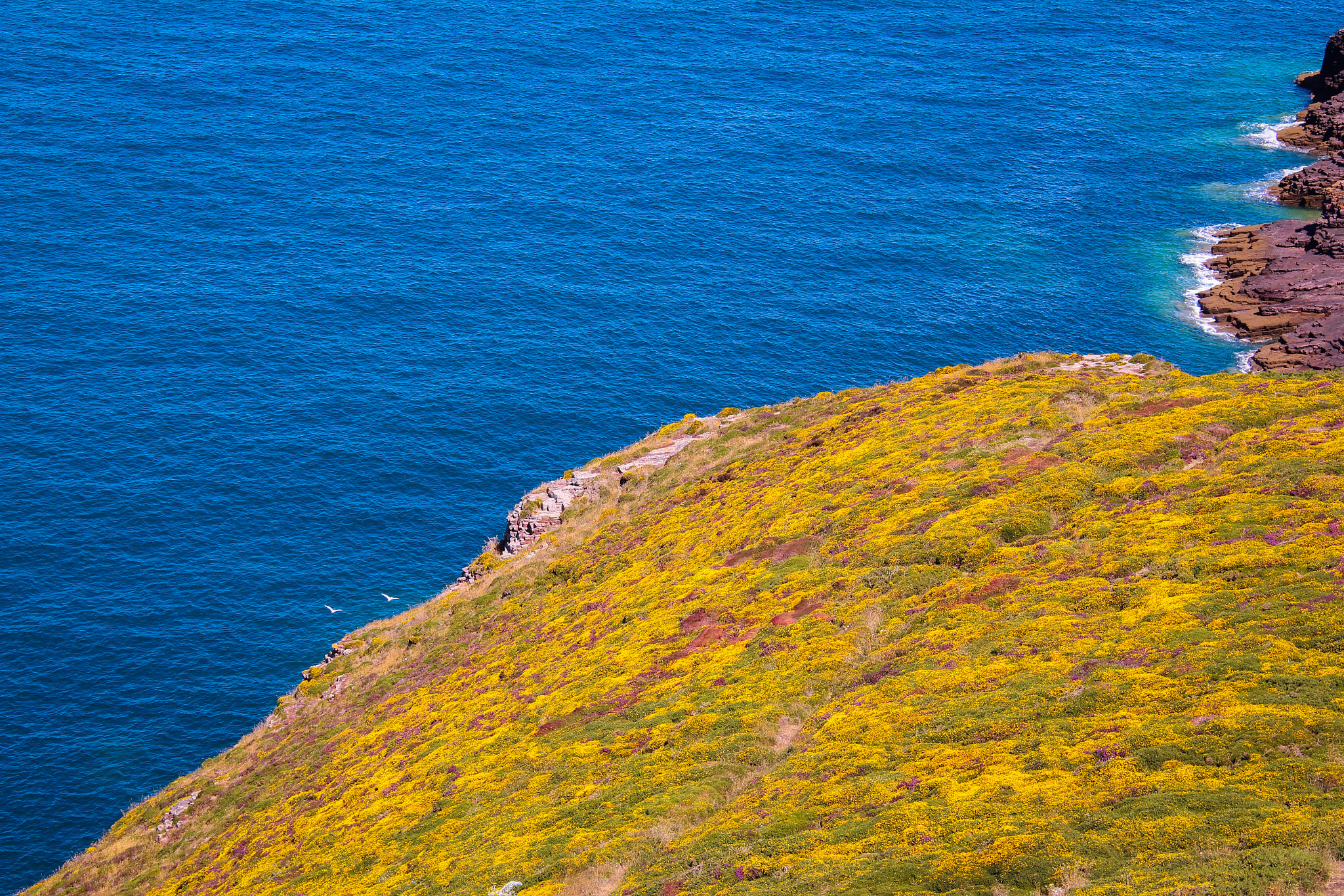 Canon EF-S 18-200mm F3.5-5.6 IS sample photo. Cap fréhel brittany photography