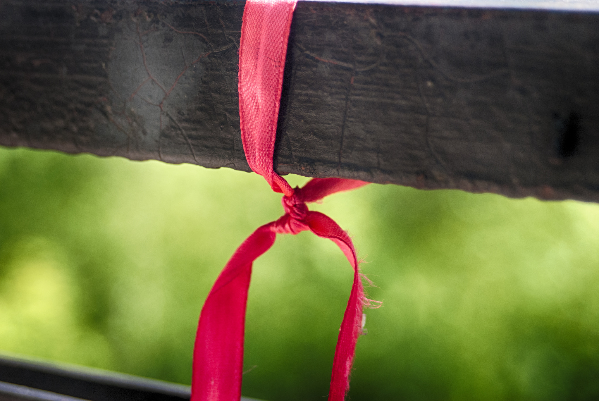 AF Zoom-Nikkor 35-70mm f/3.3-4.5 N sample photo. Ribbon photography