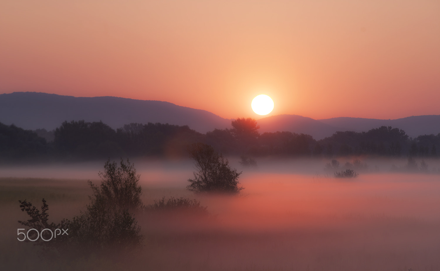 Sony Alpha DSLR-A900 + Tamron SP AF 70-200mm F2.8 Di LD (IF) MACRO sample photo. Colorful morning photography