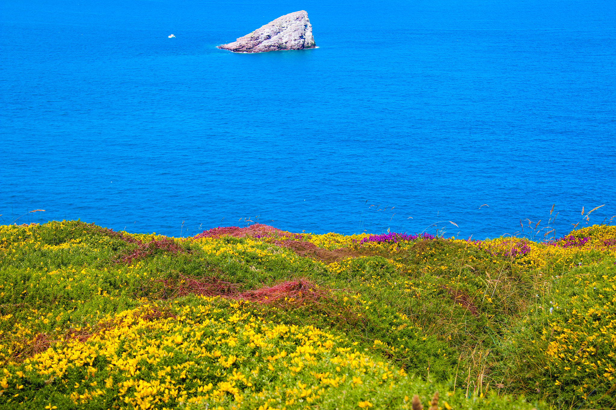 Canon EF-S 18-200mm F3.5-5.6 IS sample photo. Cap fréhel photography