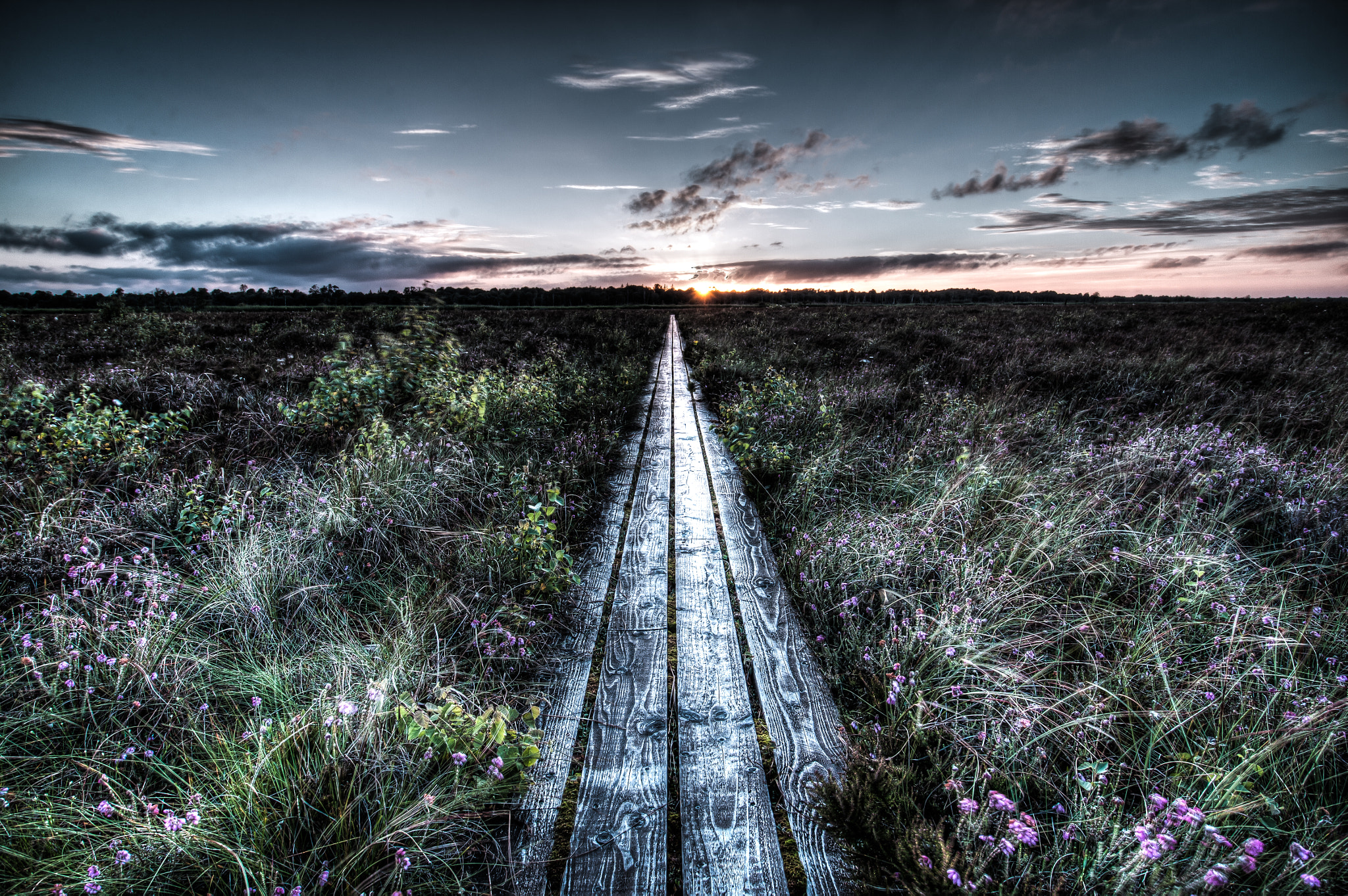 Canon EOS 500D (EOS Rebel T1i / EOS Kiss X3) sample photo. Wood path sunset photography