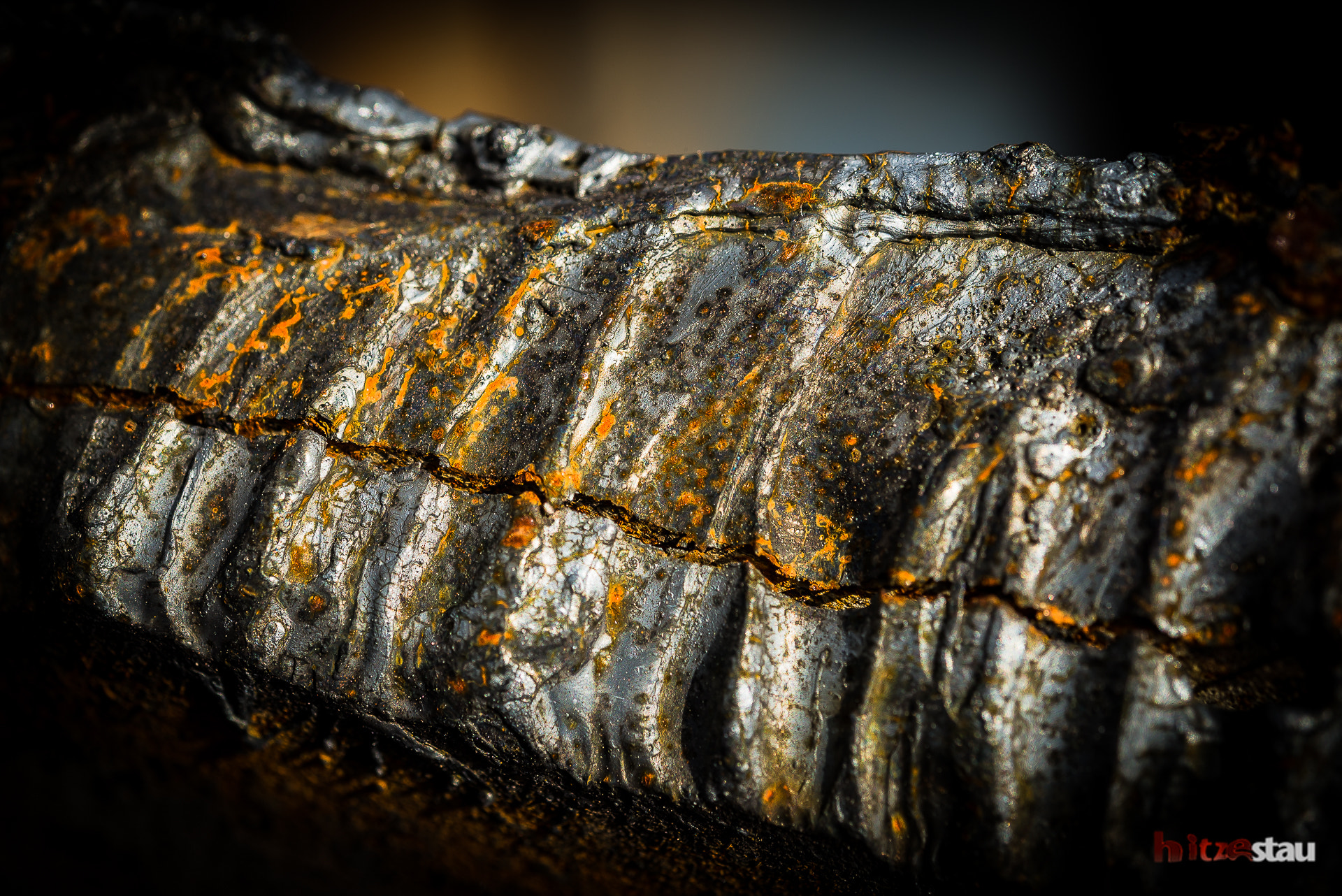 Nikon AF-S Micro-Nikkor 60mm F2.8G ED sample photo. Piece of rust photography