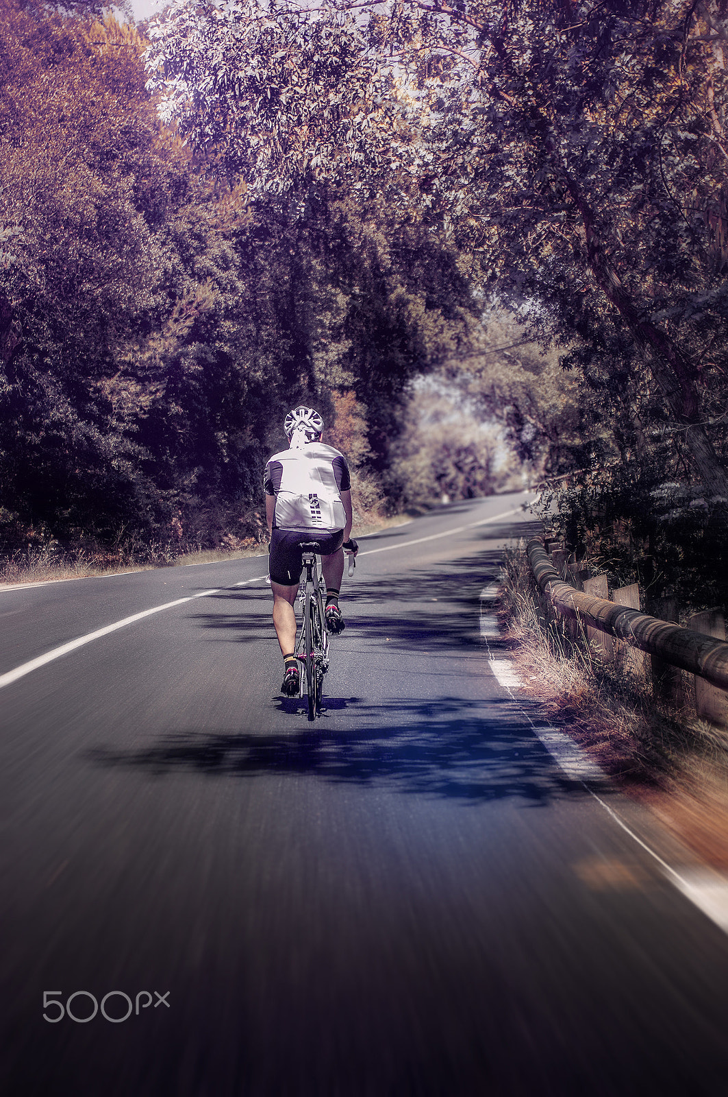 Pentax K-3 sample photo. Rider on a purple road photography