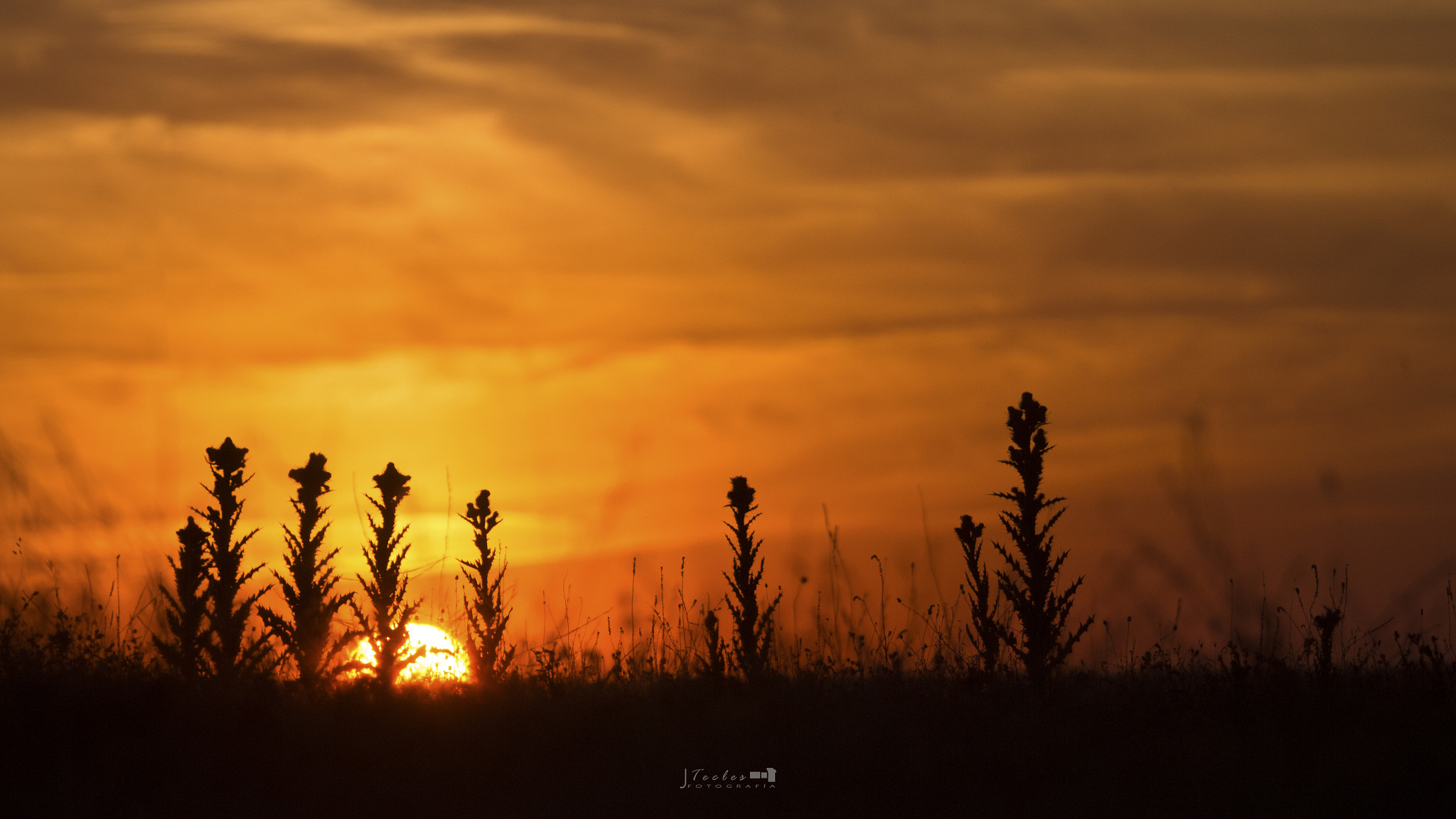 Canon EF 70-200mm F2.8L IS USM sample photo. Contraluz photography