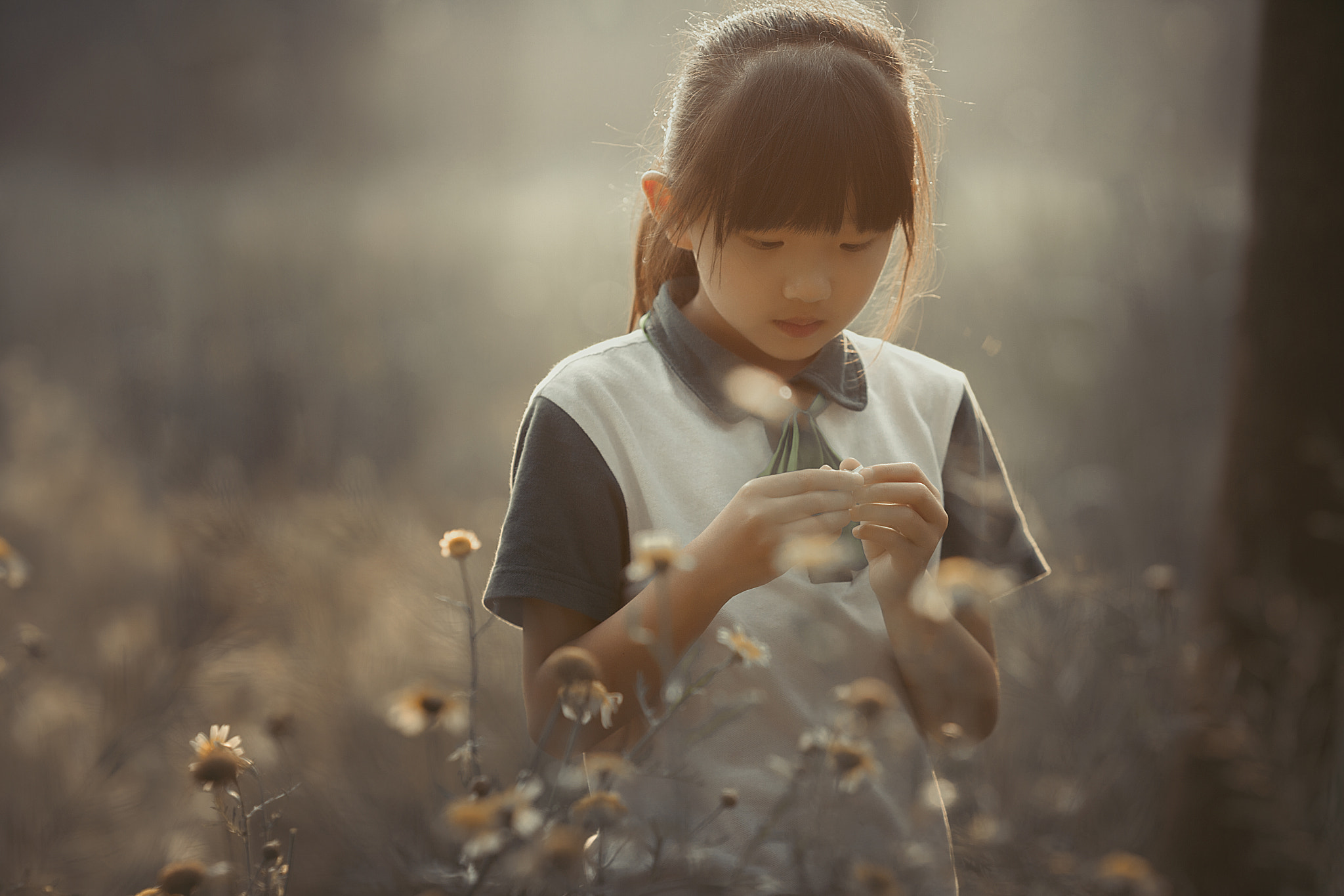Canon EOS-1Ds Mark II + Canon EF 135mm F2L USM sample photo. 田园随拍 photography