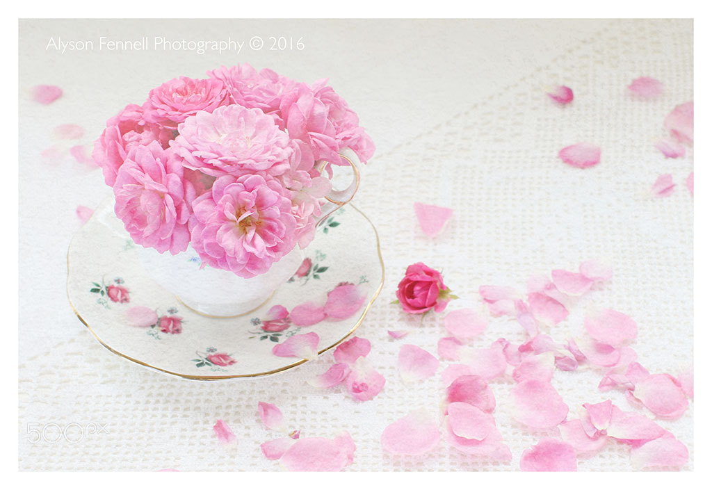 Canon EF 50mm F1.2L USM sample photo. Roses and tea cup. photography