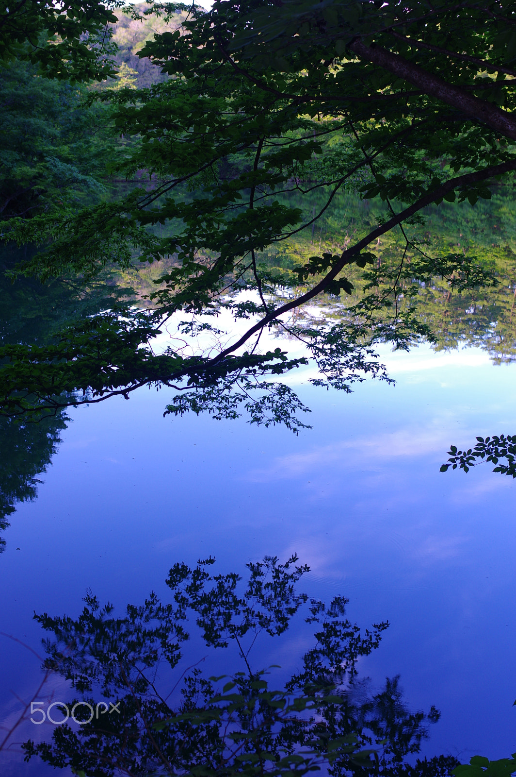 Pentax K-3 + Pentax smc DA 35mm F2.4 AL sample photo. Blue reflected in blue photography