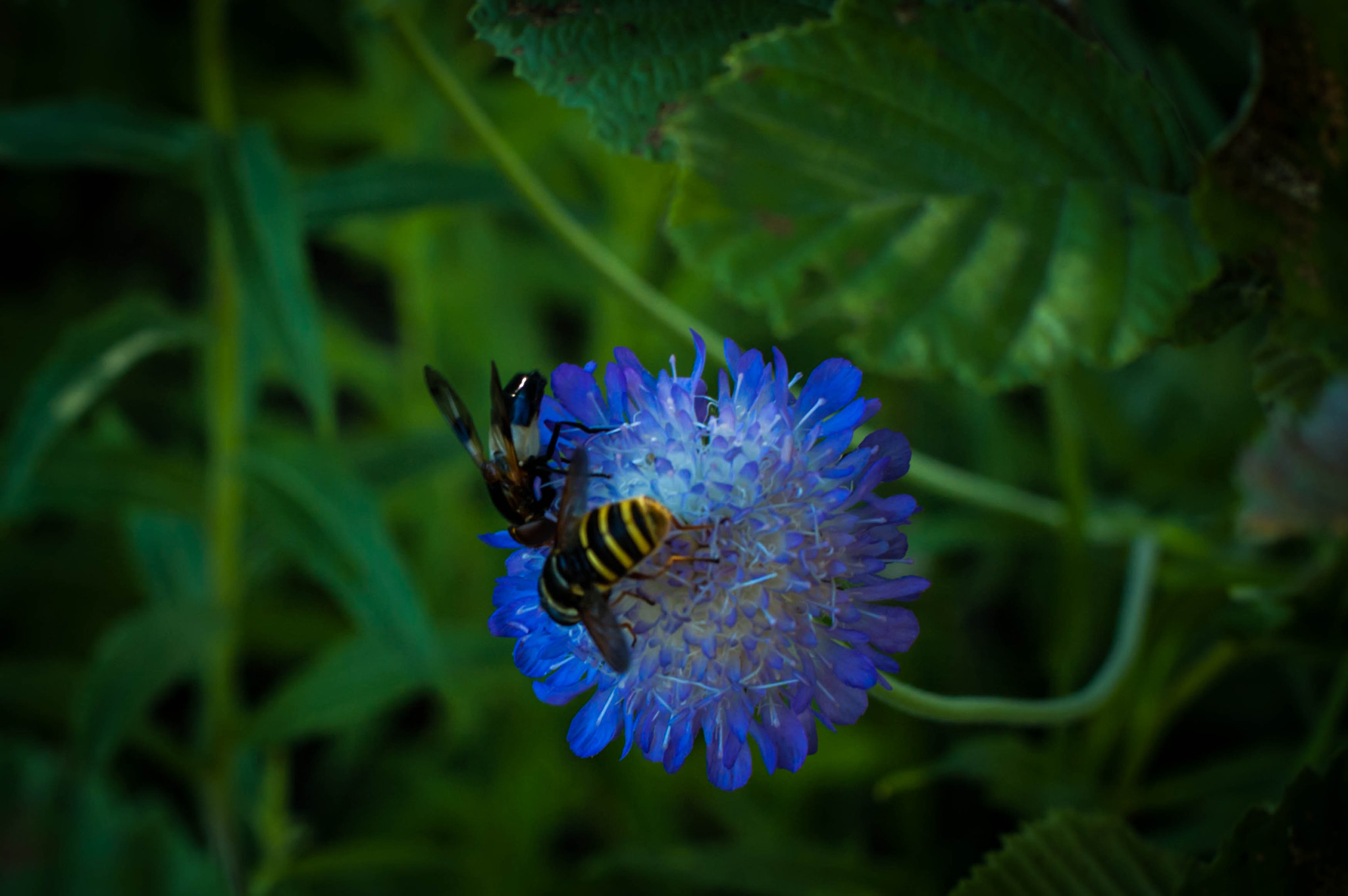 Nikon D70s + Nikon AF Nikkor 50mm F1.4D sample photo. Трудятся photography