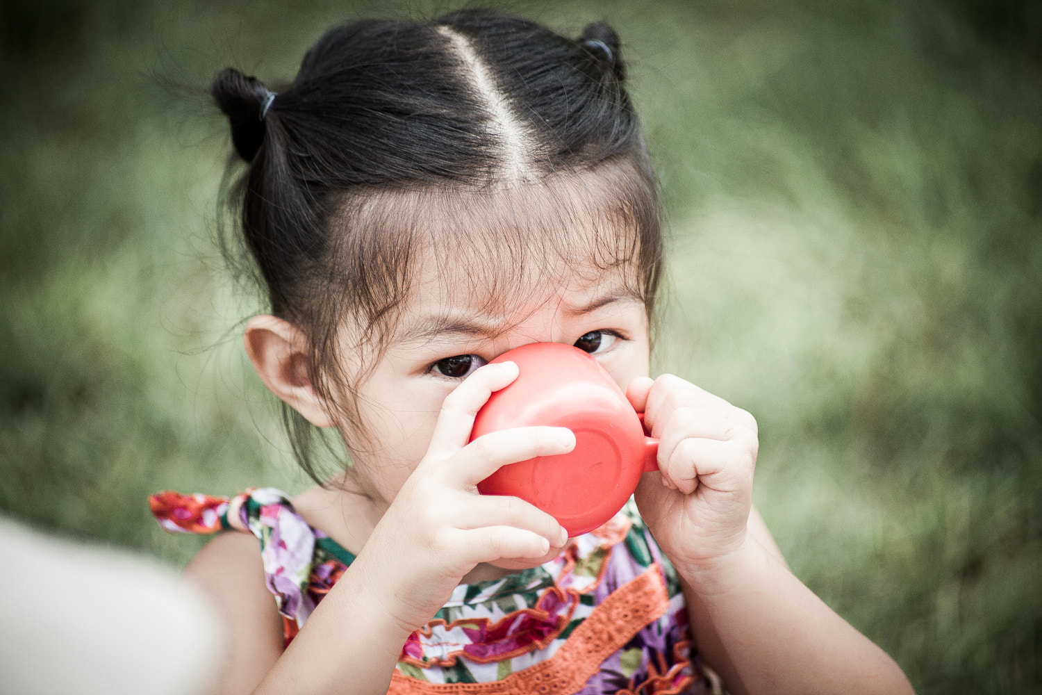 Canon EF 70-210mm f/4 sample photo