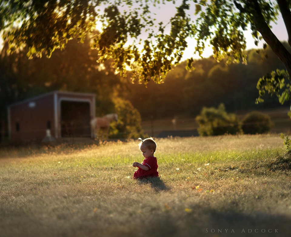 Nikon D700 + Nikon AF Nikkor 105mm F2D DC sample photo. Summer musings photography