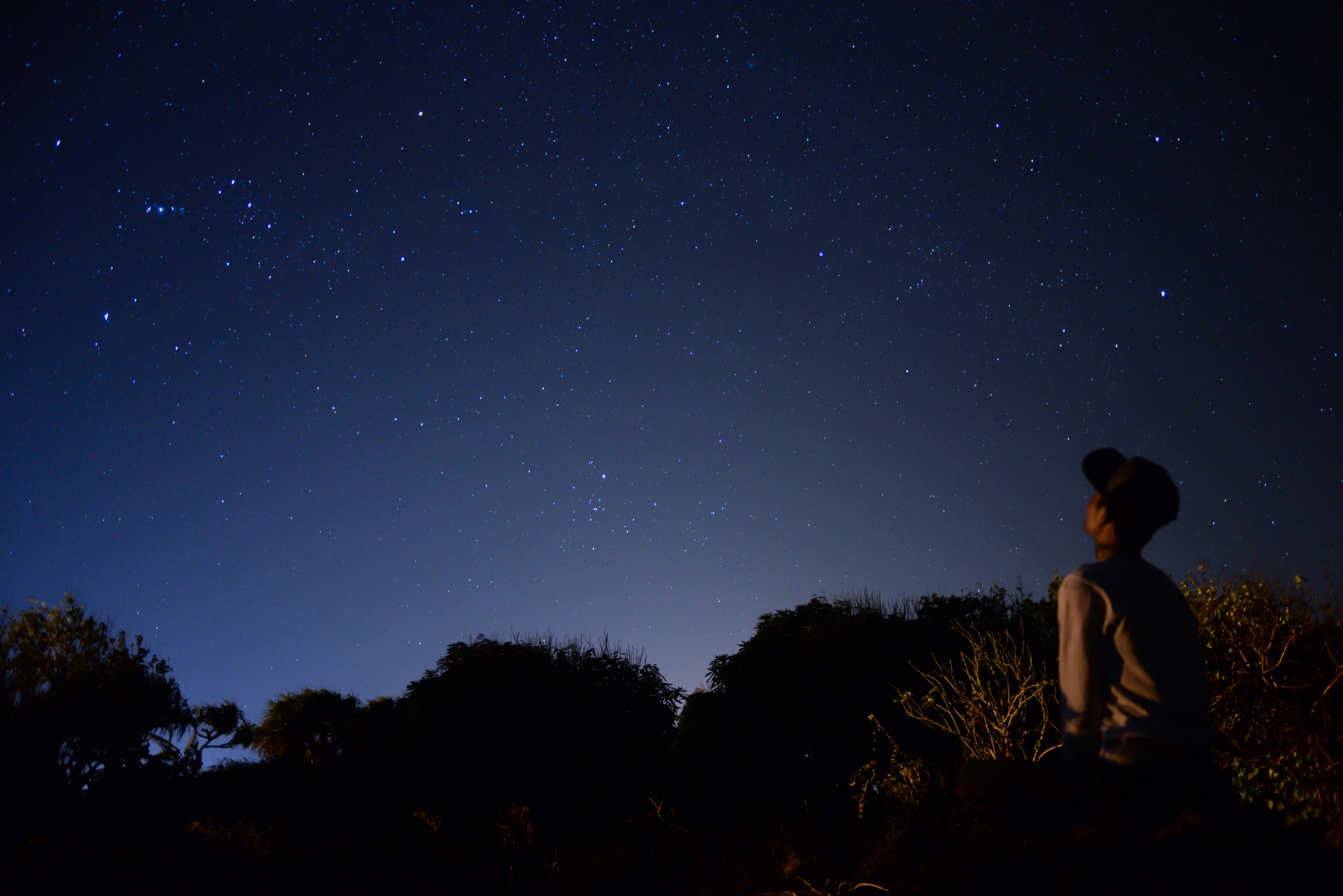 AF Zoom-Nikkor 28-80mm f/3.3-5.6G sample photo. Gazing neo photography
