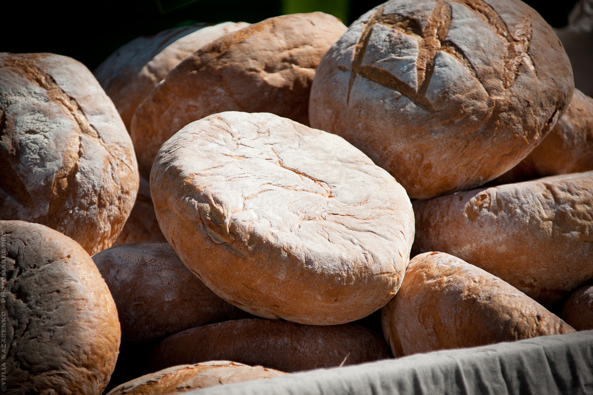 Canon EOS-1Ds Mark III sample photo. According to an old recipe photography